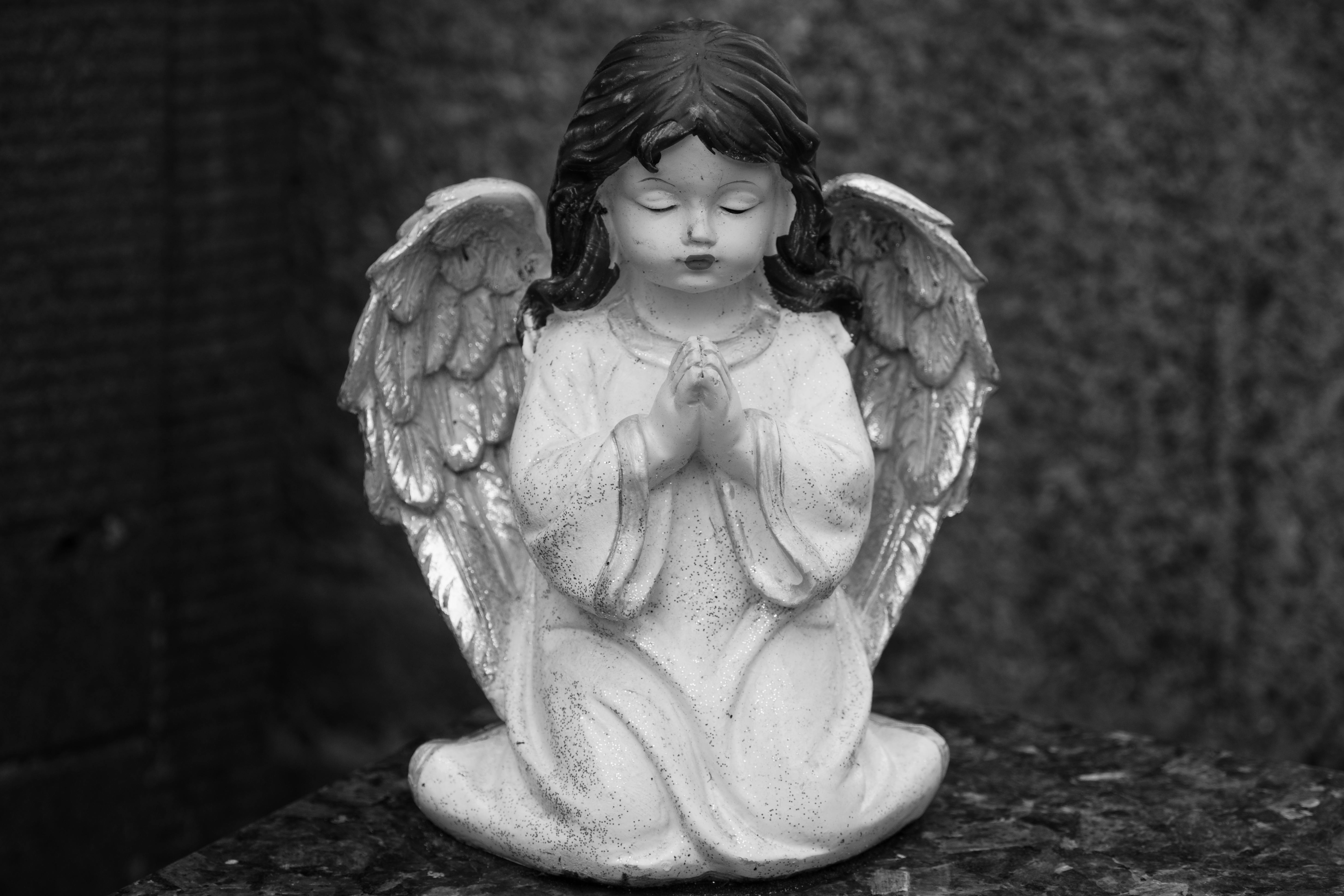 Photo by Bizar Van Jan - https://www.pexels.com/@bizar-van-jan-92378004