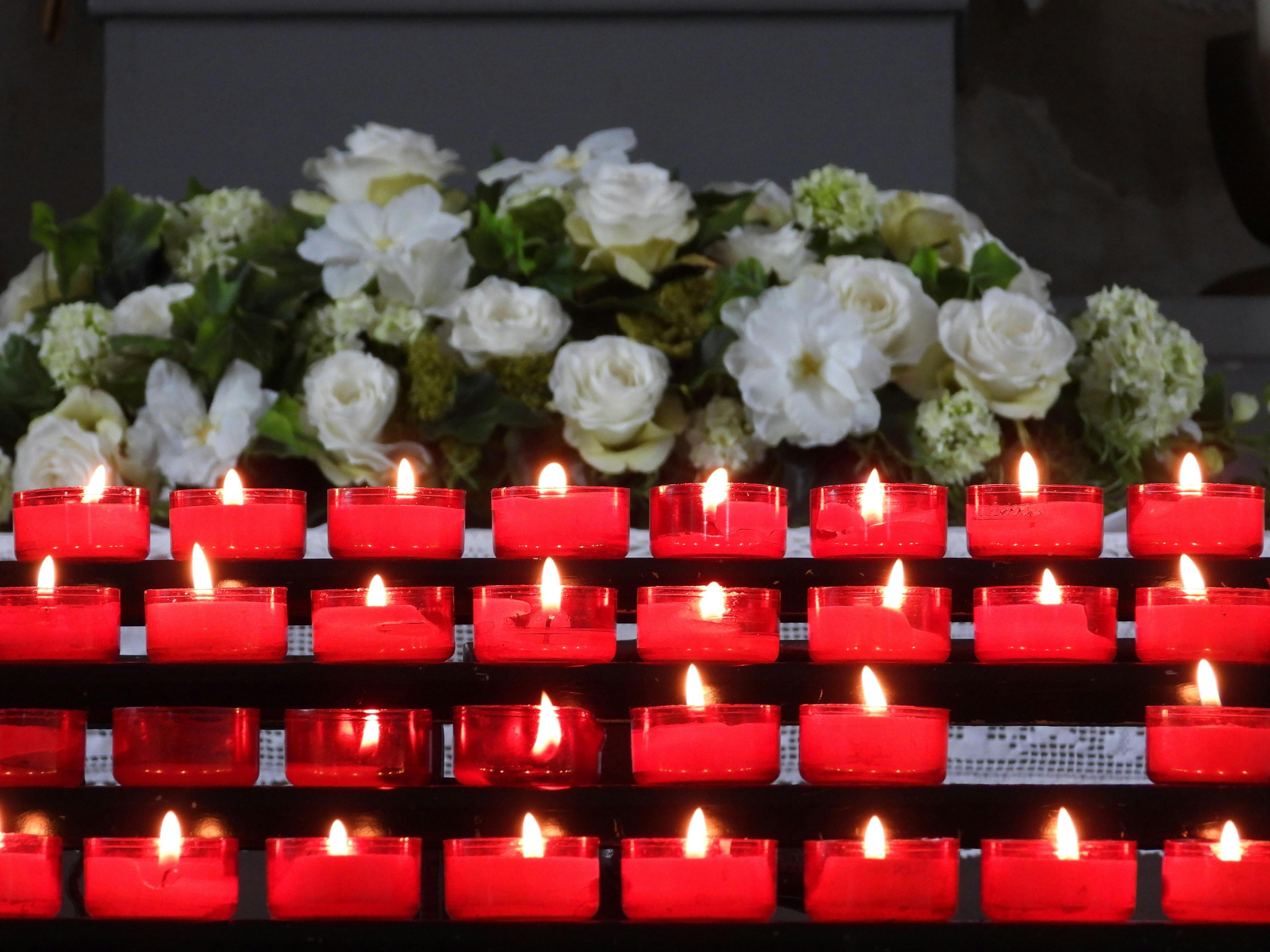 Photo by Jean Marc Pampuch - https://www.pexels.com/@rubis