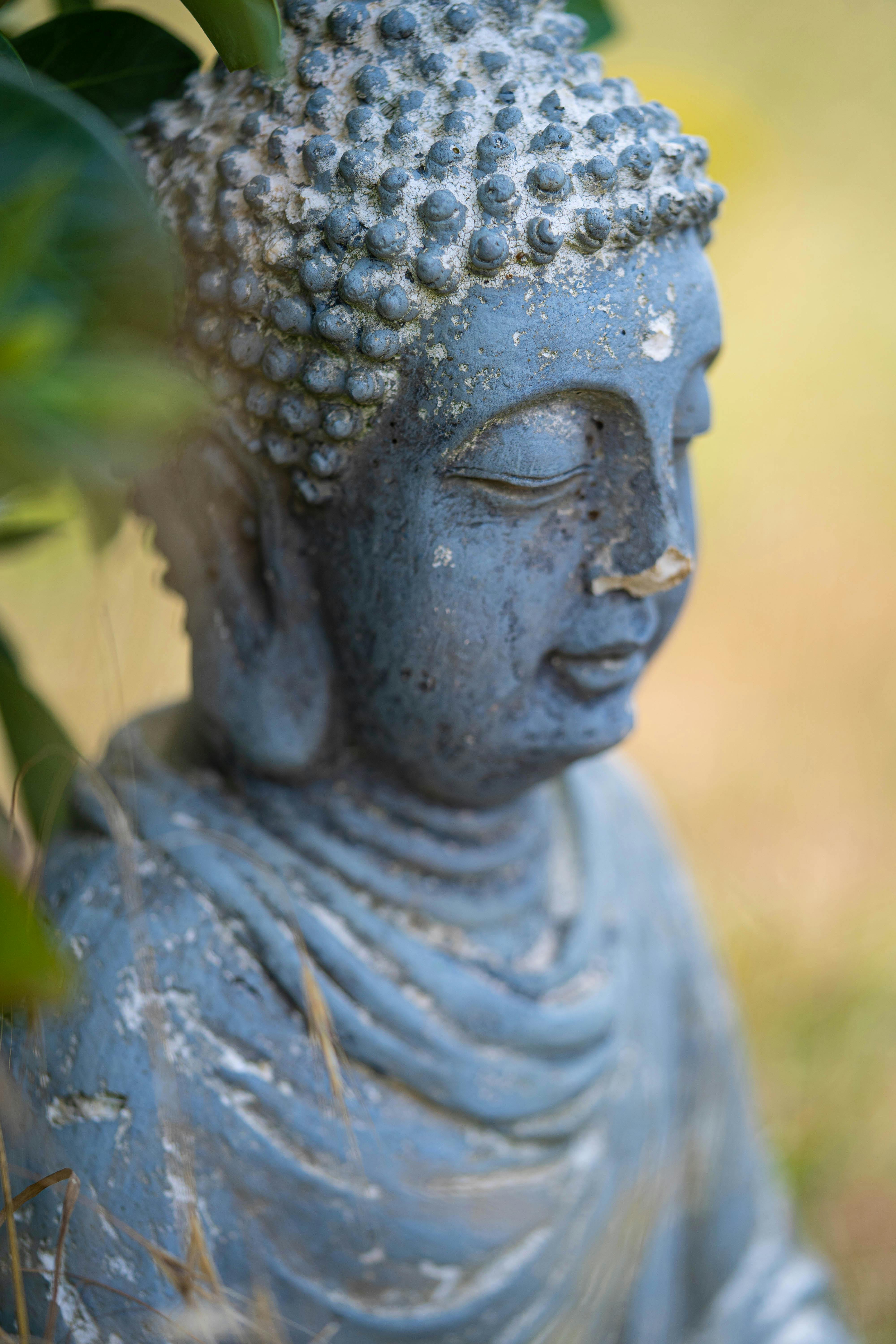 Photo by Sean McSeveney - https://www.pexels.com/@sean-mcseveney-2263002