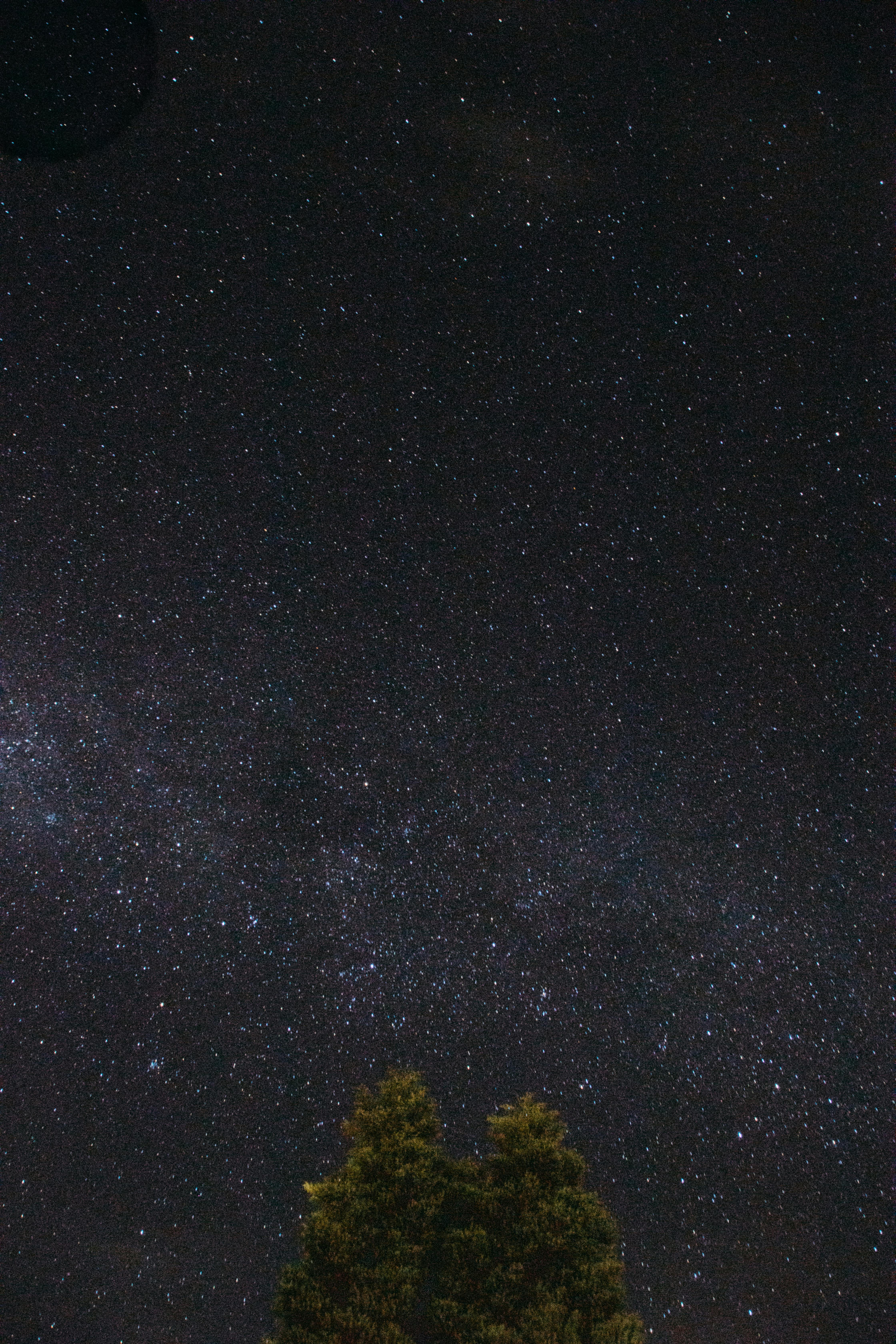 Photo by Matheus Bertelli - https://www.pexels.com/@bertellifotografia