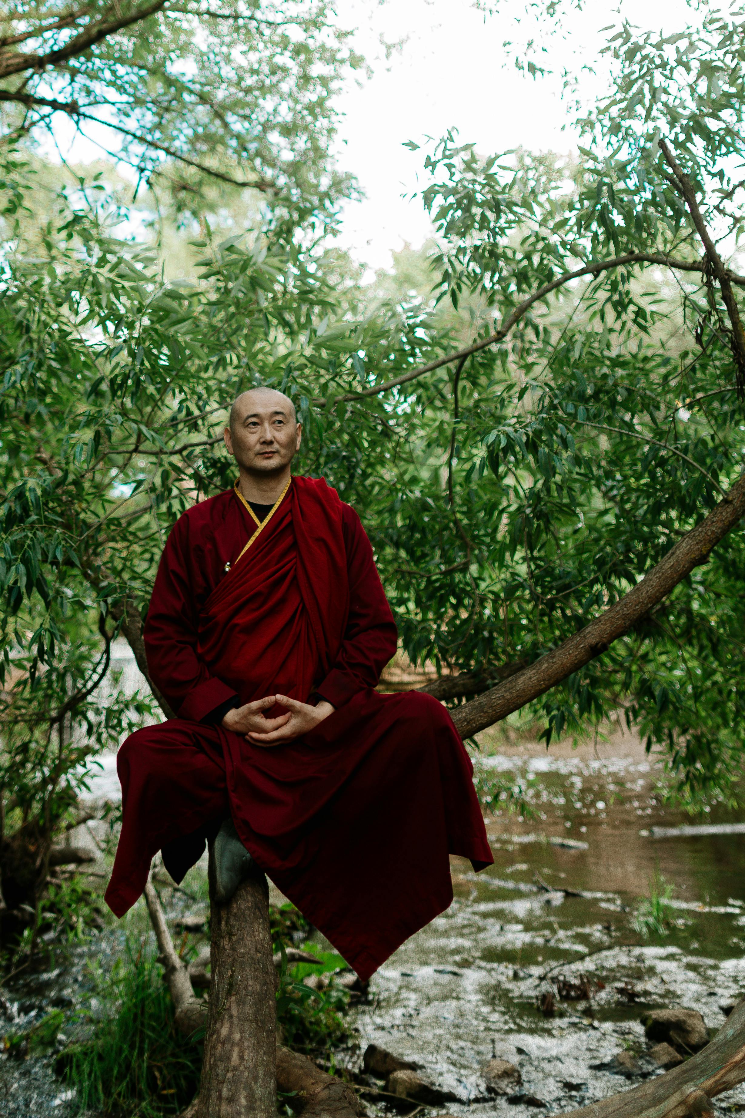 Photo by cottonbro studio - https://www.pexels.com/@cottonbro