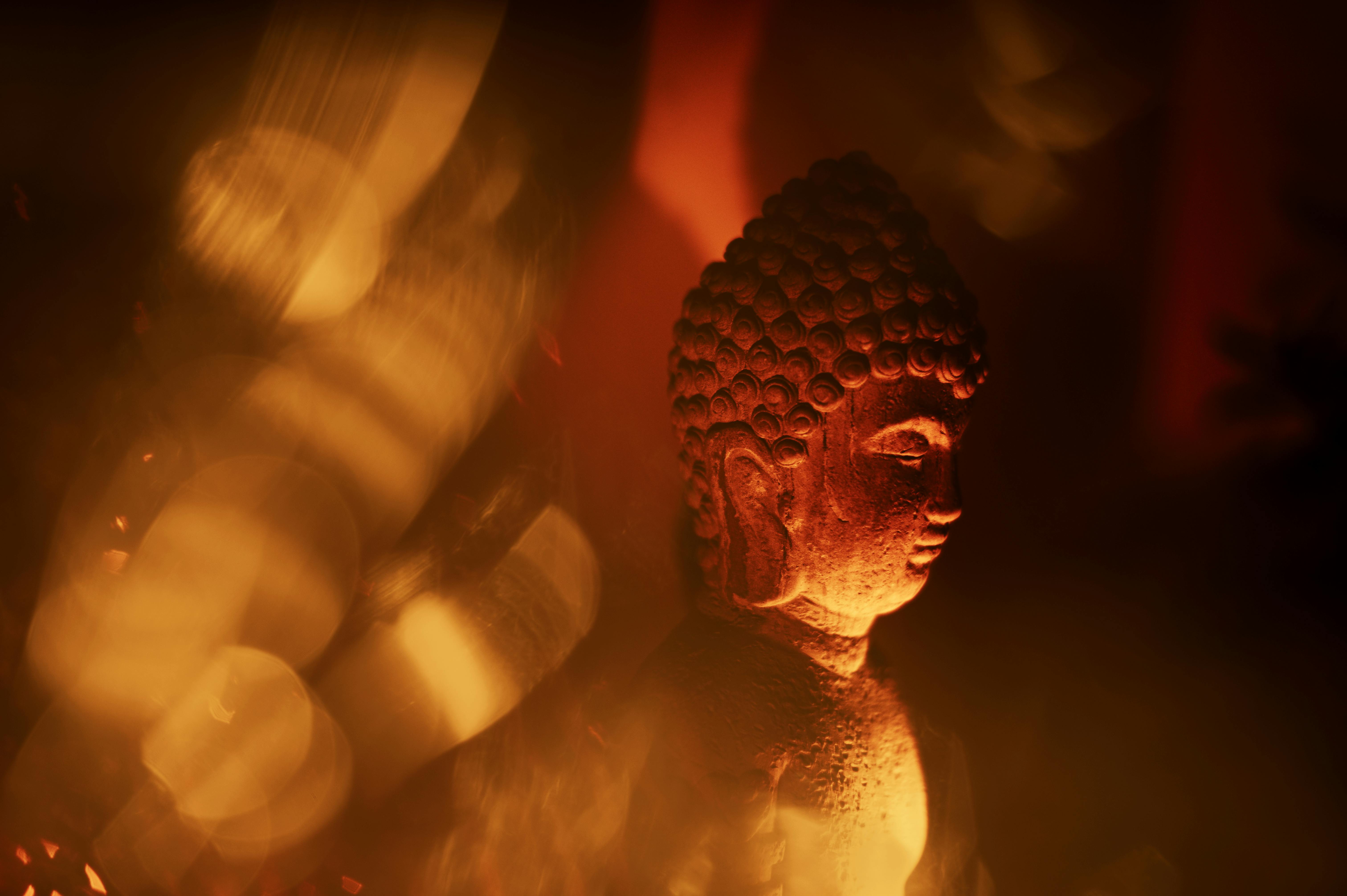 Photo by Jan Kopřiva - https://www.pexels.com/@koprivakart