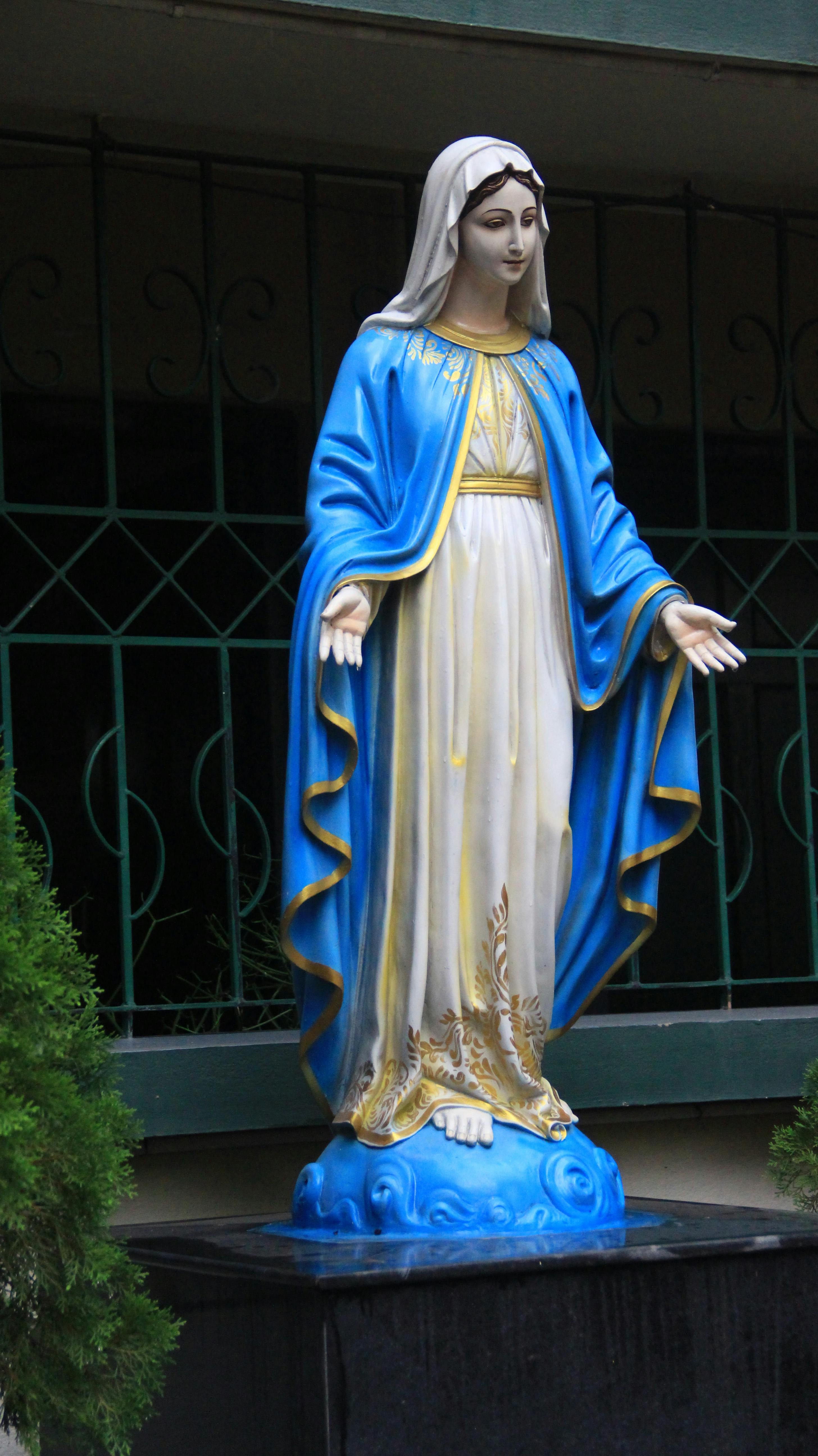 Photo by Nibin Daniel - https://www.pexels.com/@nibin-daniel-774898743