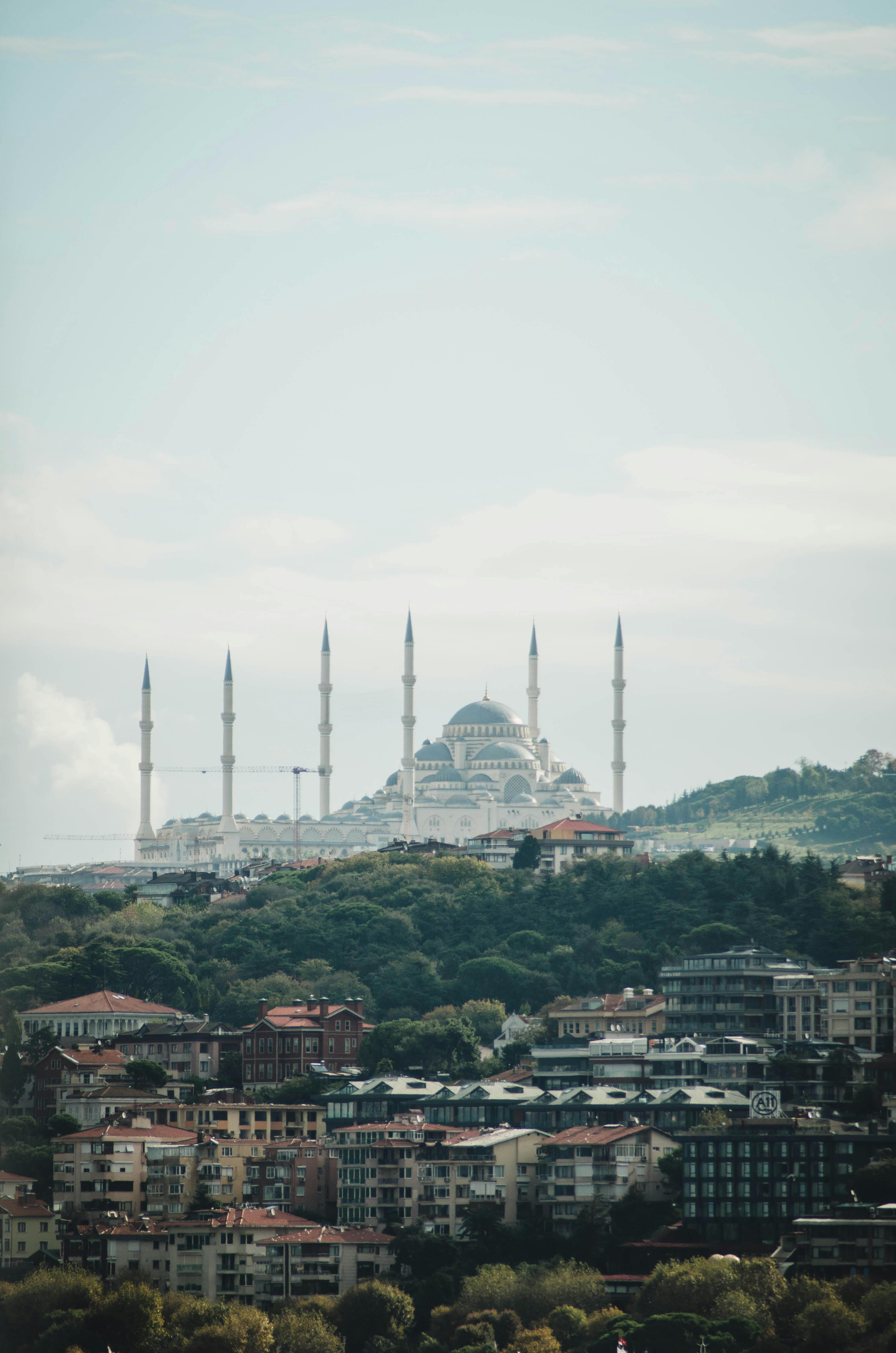 Photo by Ajdin Coric - https://www.pexels.com/@ajdin-coric-504250286