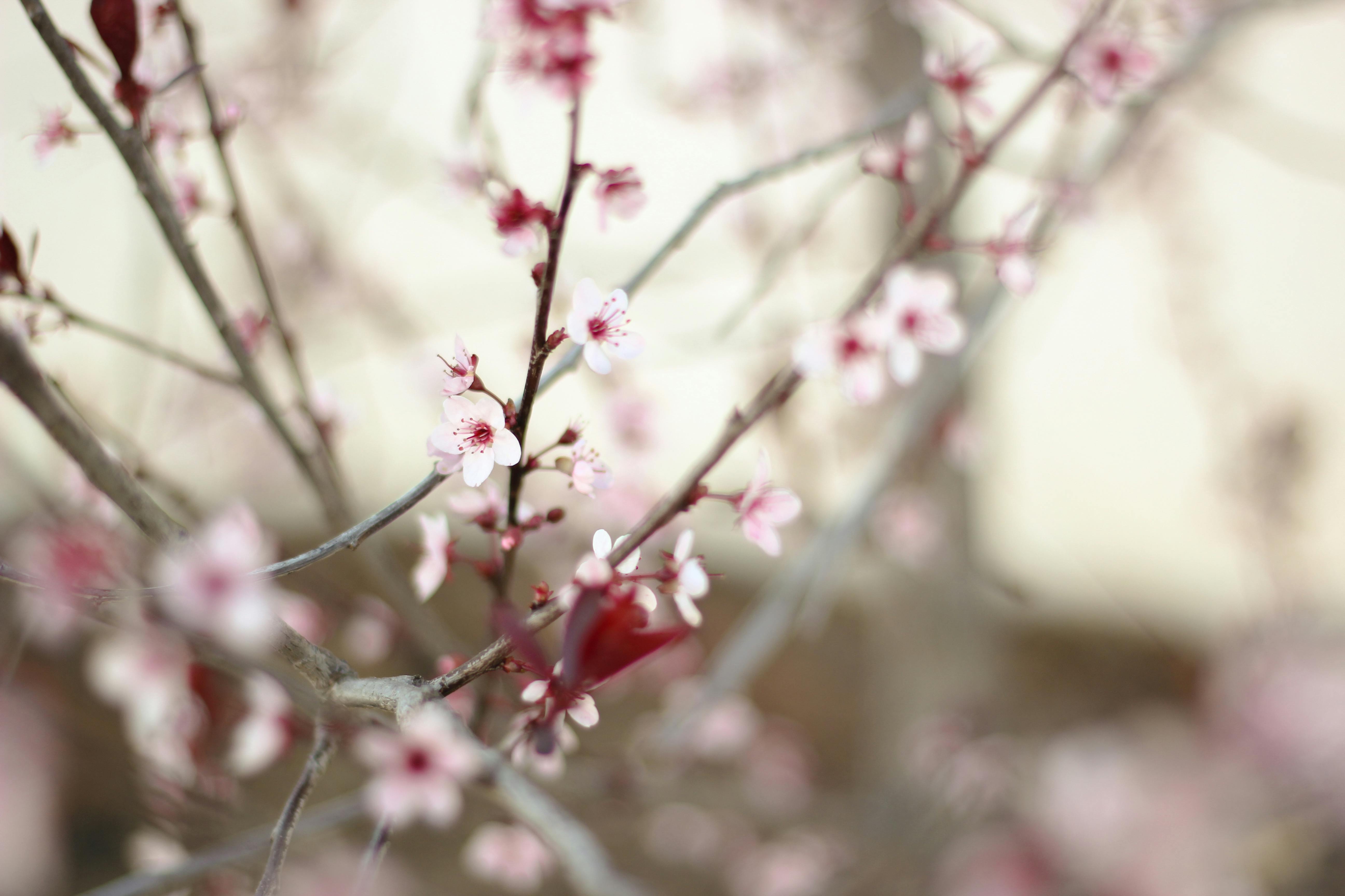 Photo by Lisa Stroud - https://www.pexels.com/@lisa-stroud-1704618627