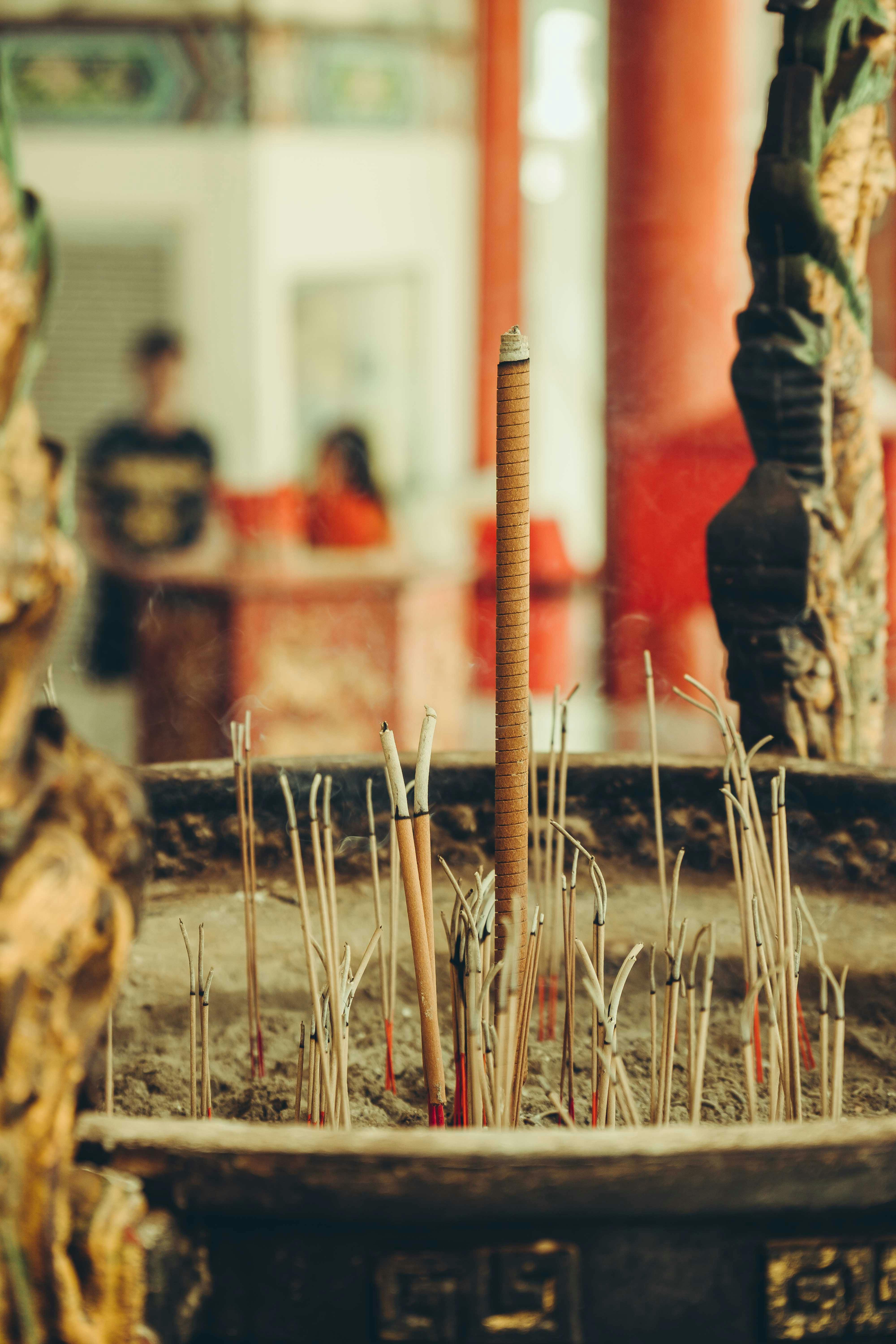 Photo by Theodore Nguyen - https://www.pexels.com/@cknguyen