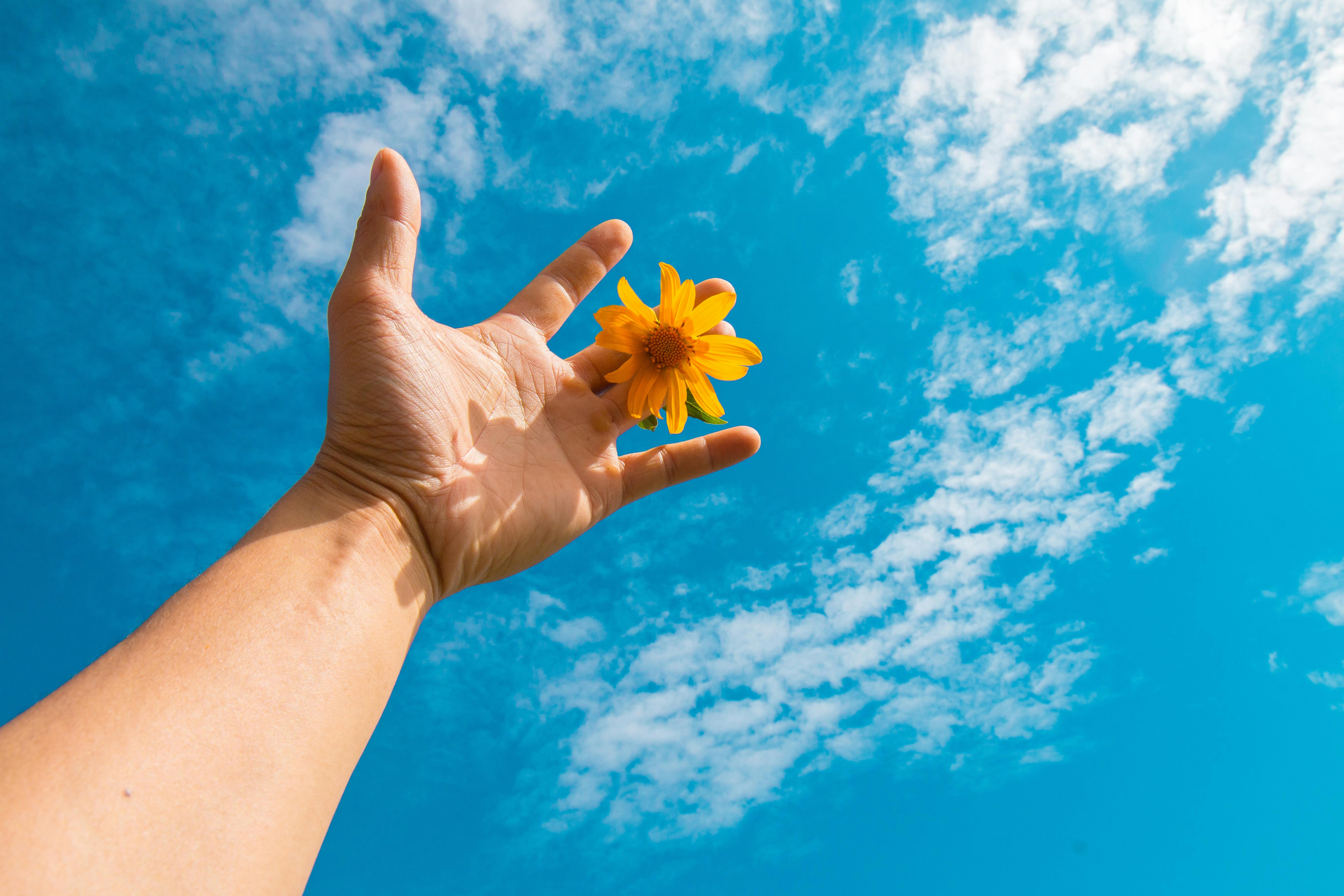 Photo by Chu Chup Hinh - https://www.pexels.com/@chuchuphinh