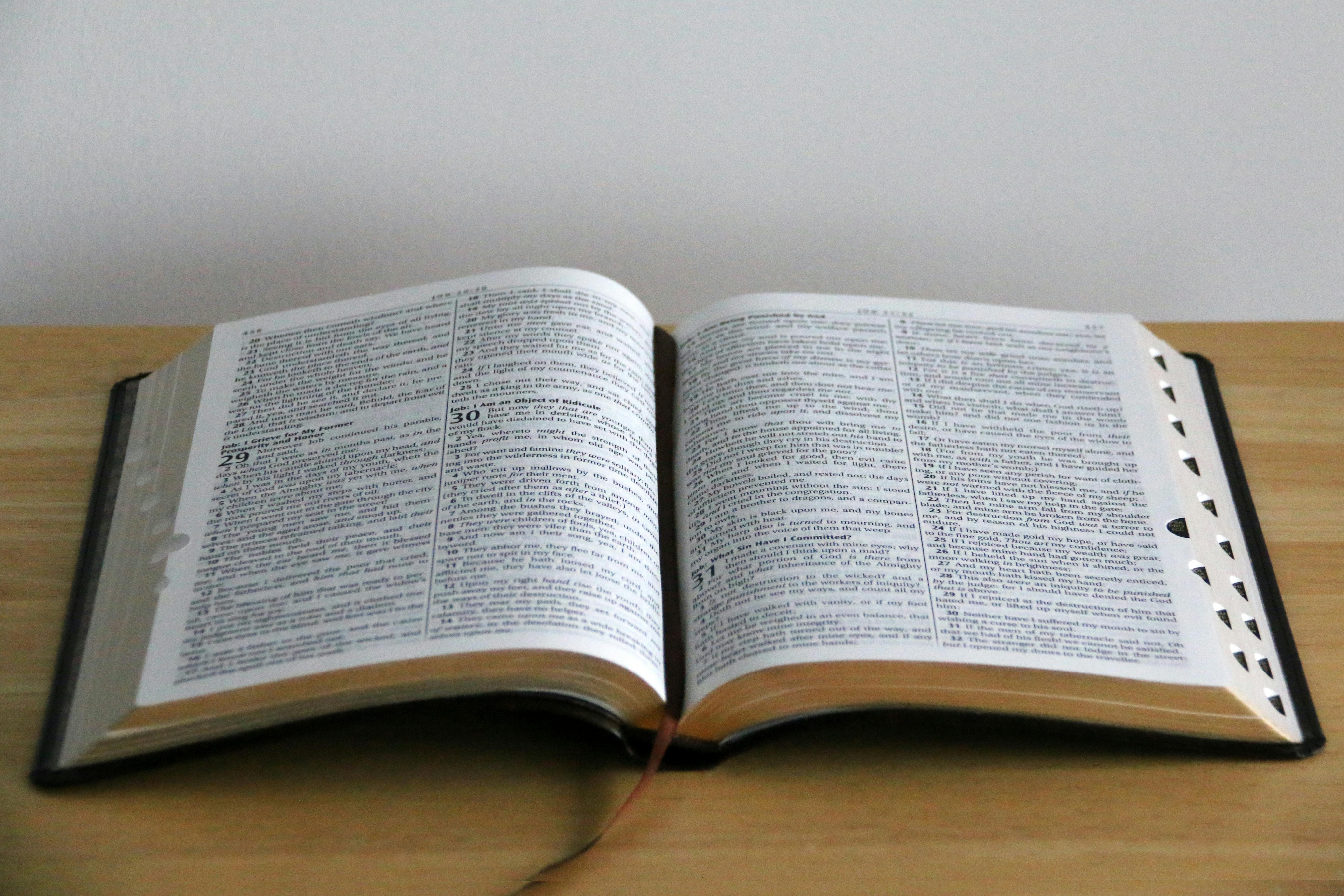 Photo by Ella Wei - https://www.pexels.com/@ewei2805