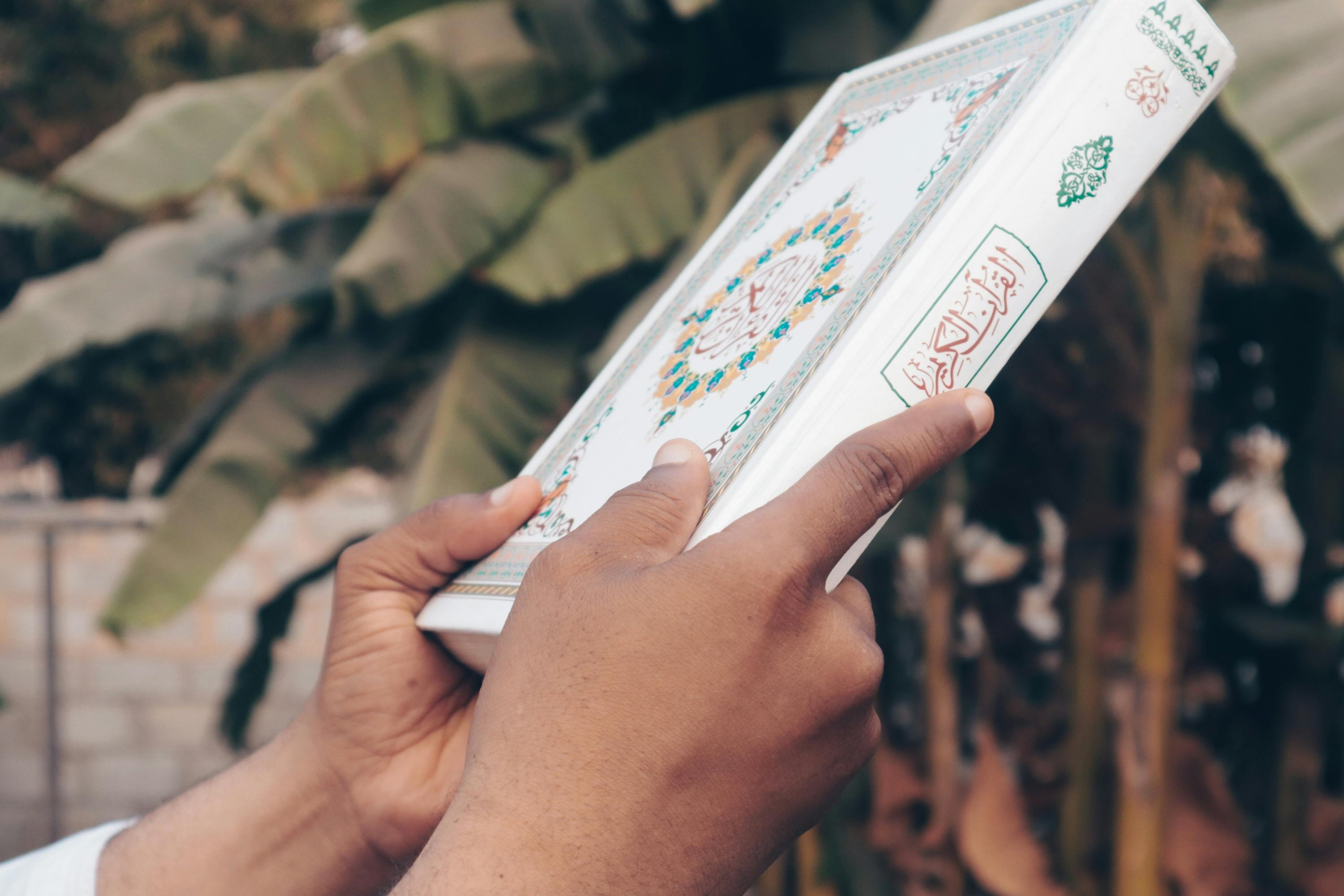 Photo by Mukhtar Shuaib Mukhtar - https://www.pexels.com/@akoonie