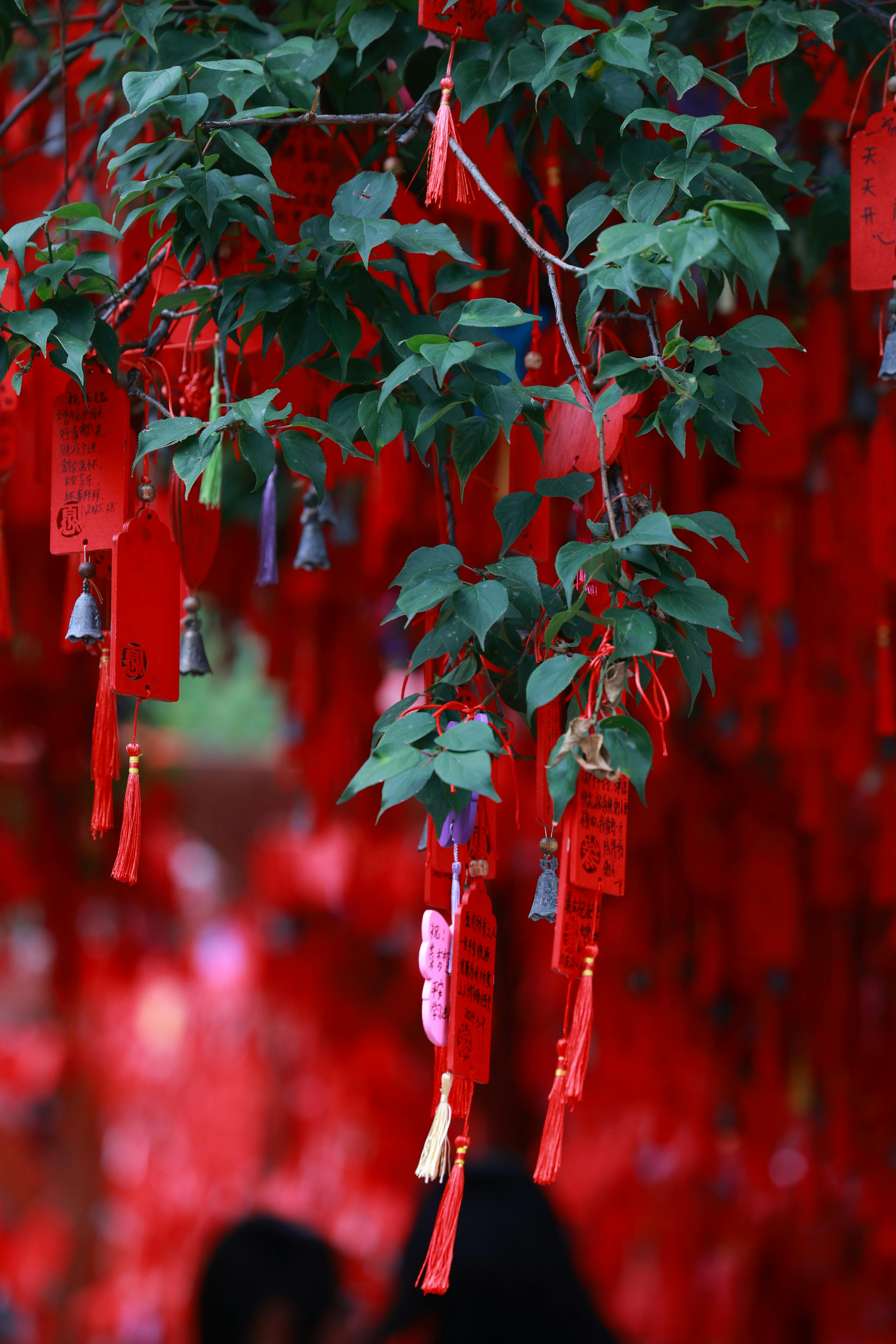 Photo by Andy Lee - https://www.pexels.com/@andy-lee-222330306