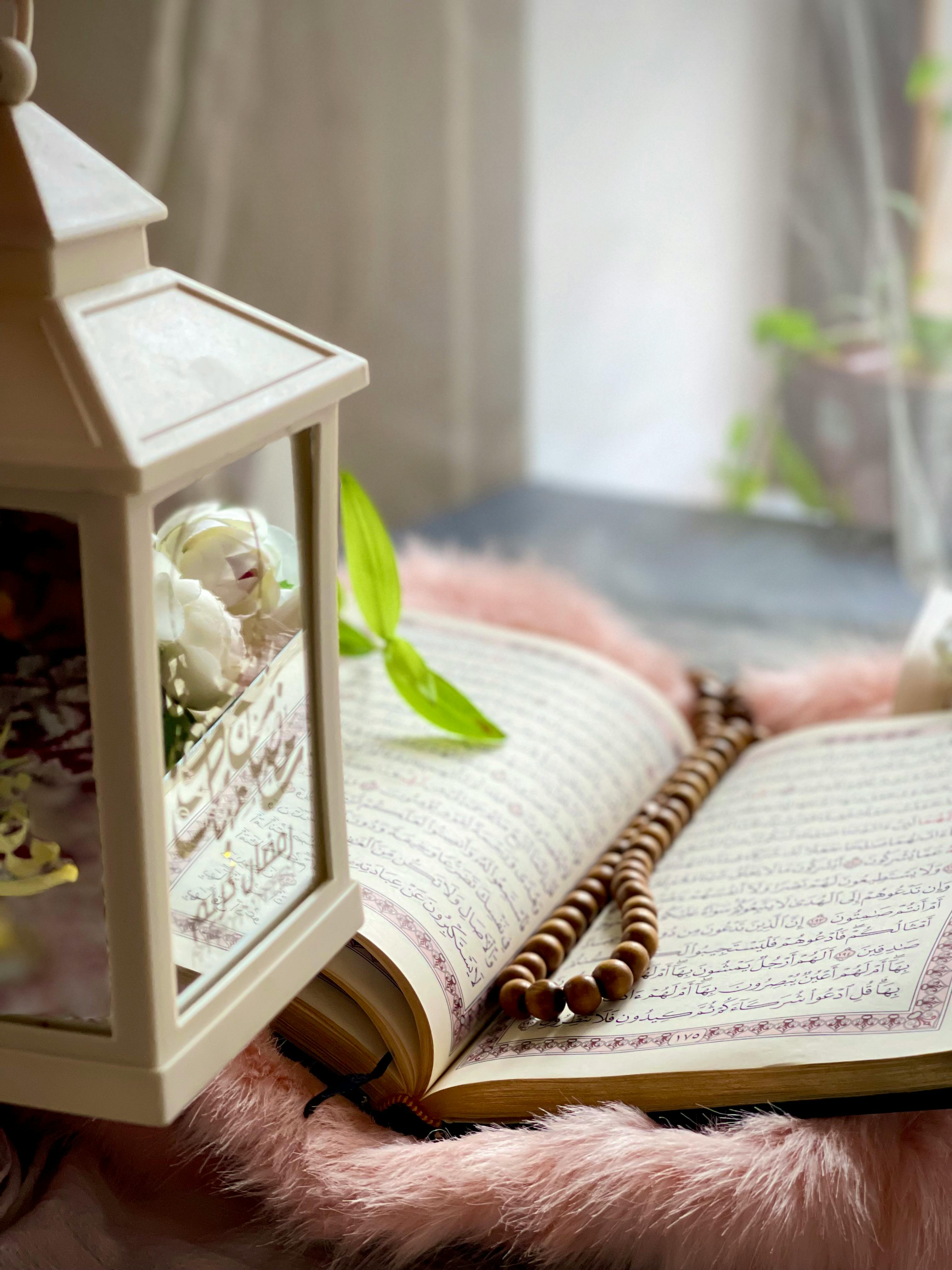 Photo by Afnan Mohammed - https://www.pexels.com/@afnan-mohammed-332283805