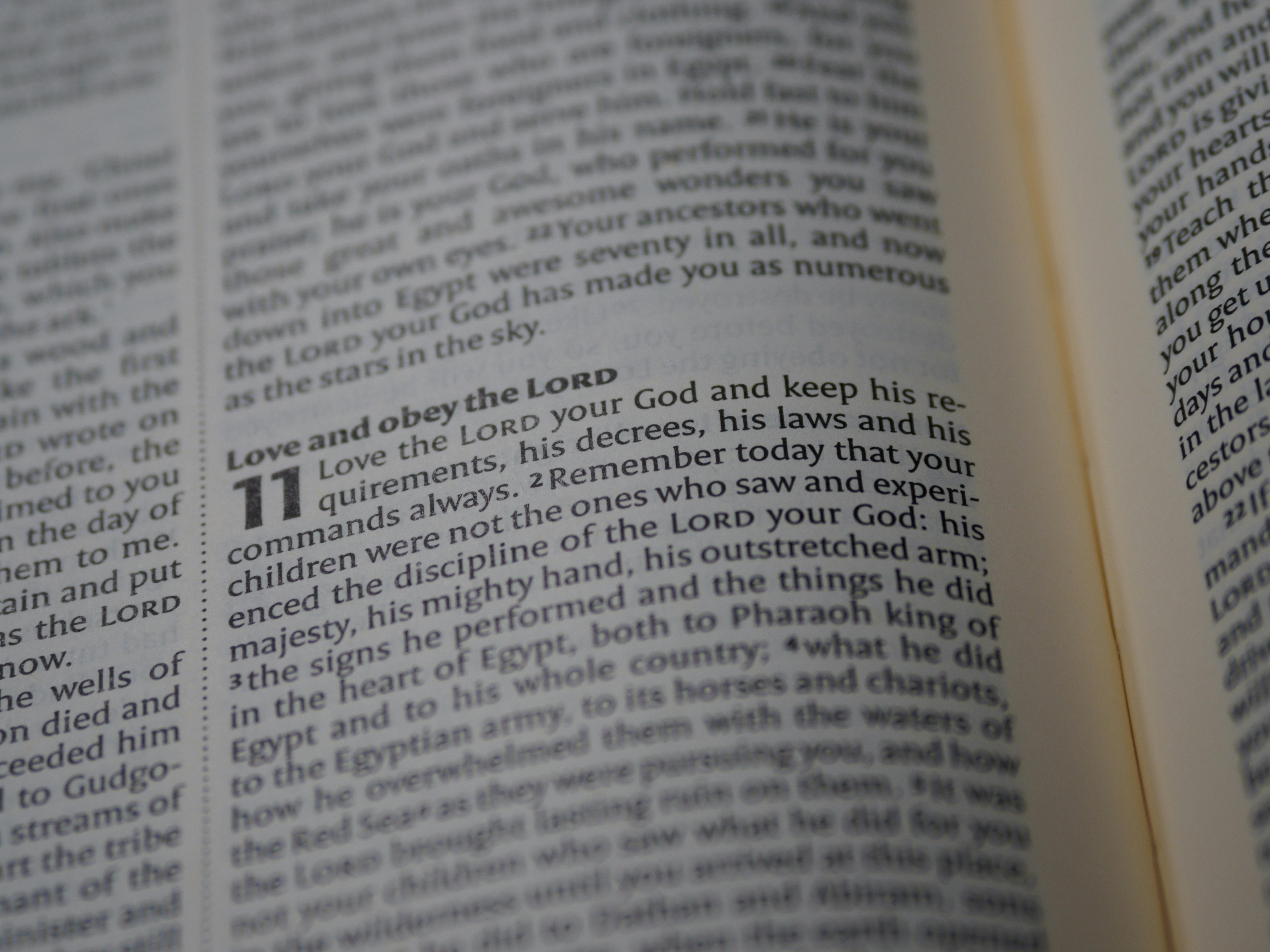 Photo by Brett Jordan - https://www.pexels.com/@brettjordan