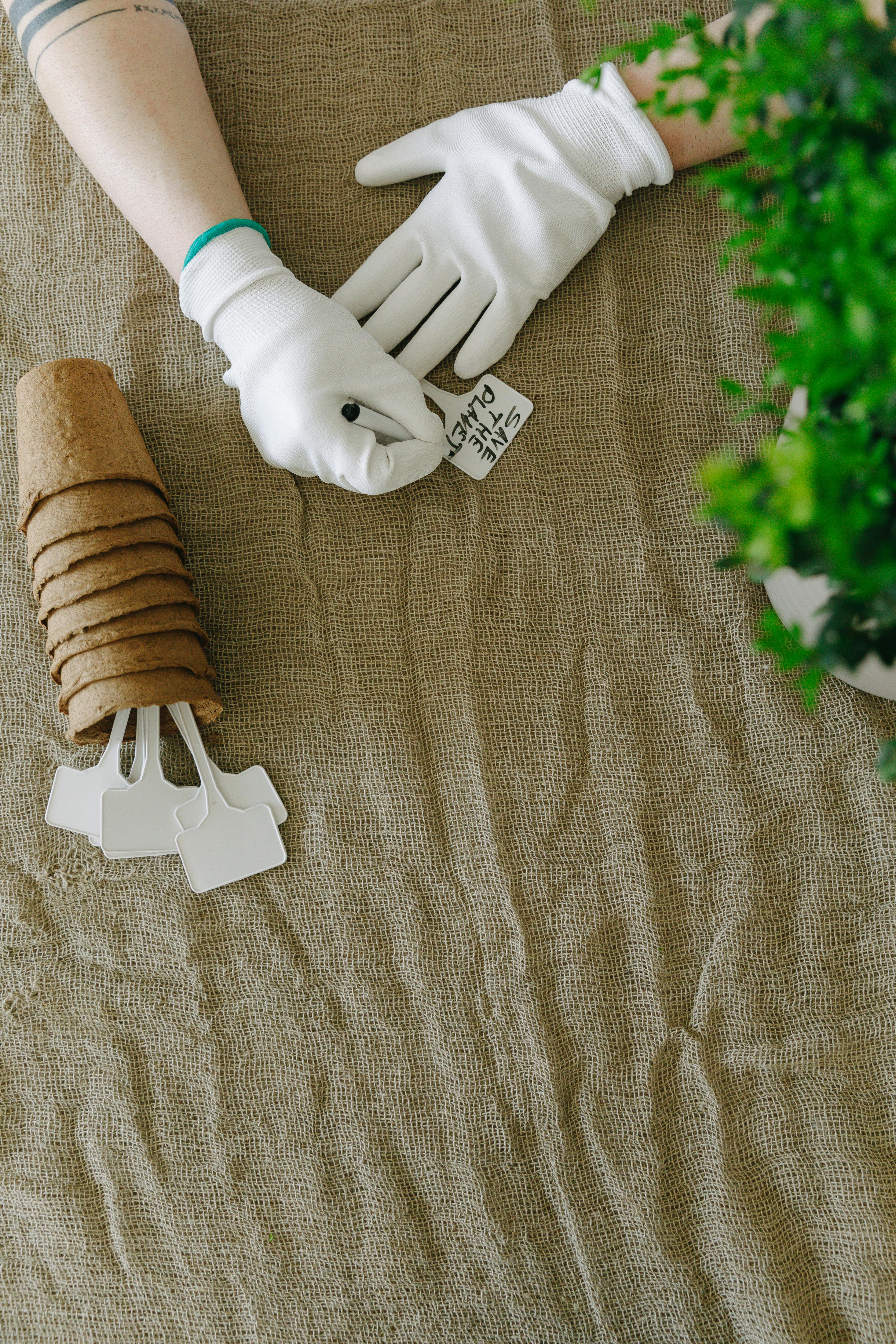 Photo by Thirdman - https://www.pexels.com/@thirdman