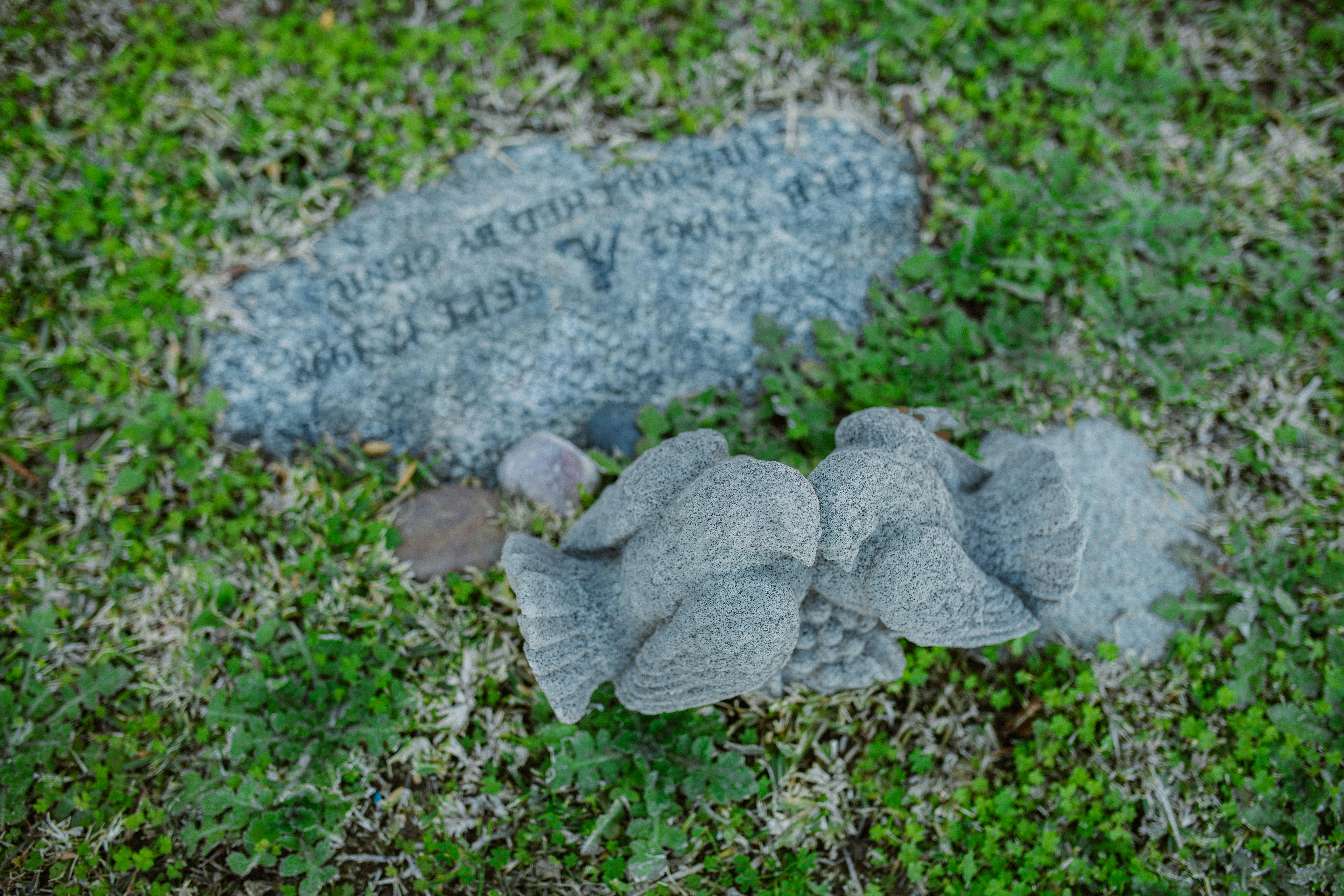 Photo by RDNE Stock project - https://www.pexels.com/@rdne