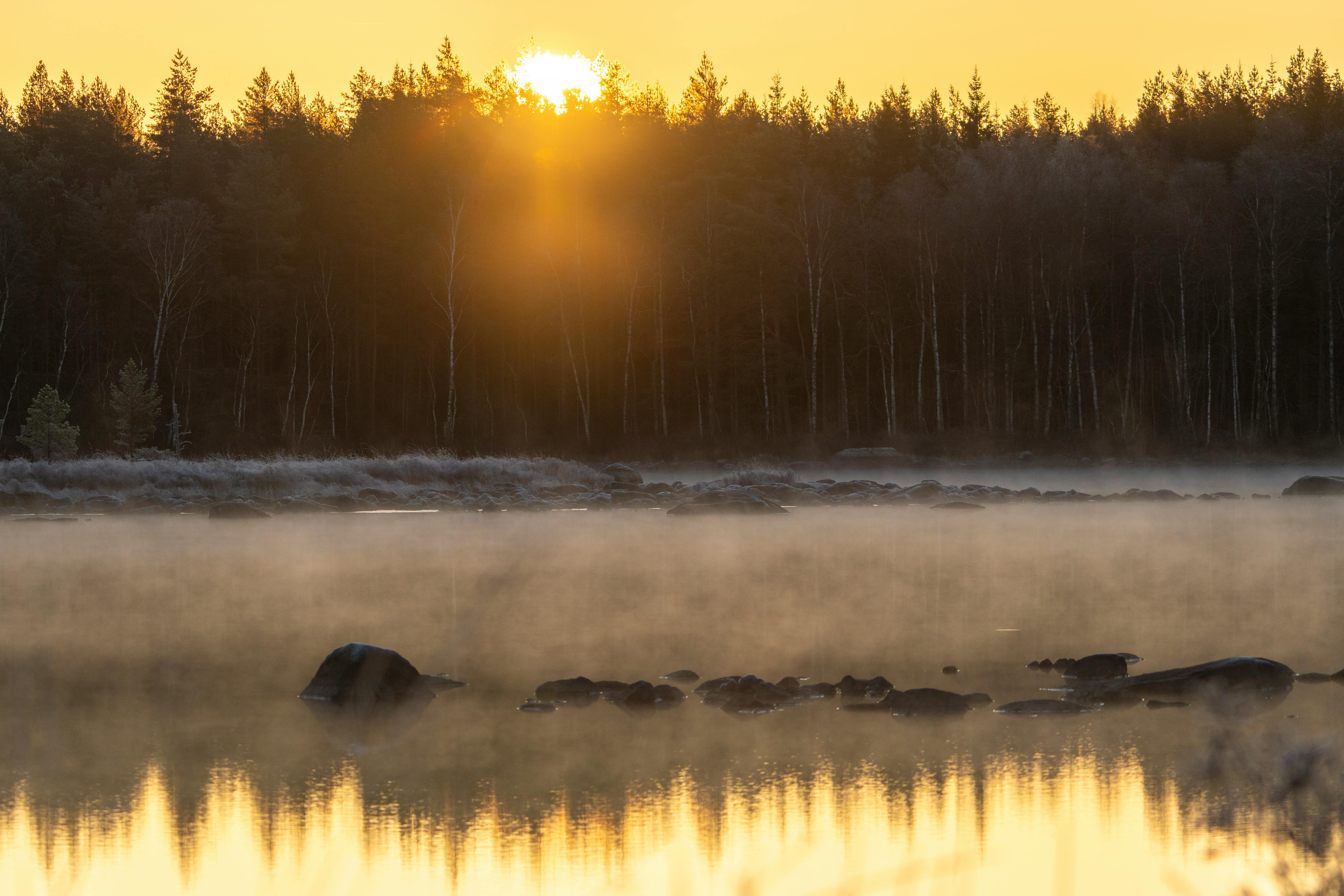 Photo by Lorenzo Manera - https://www.pexels.com/@lorenzo-manera-686693293