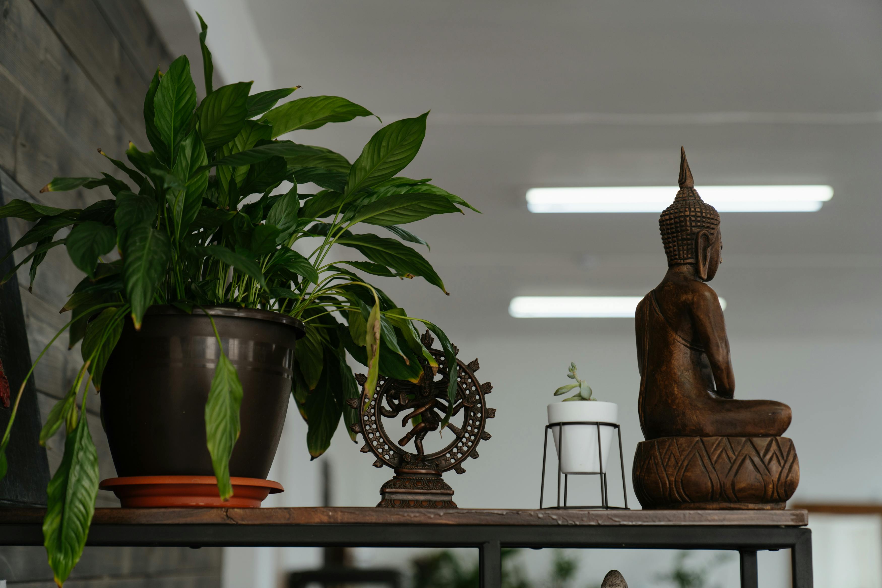 Photo by cottonbro studio - https://www.pexels.com/@cottonbro