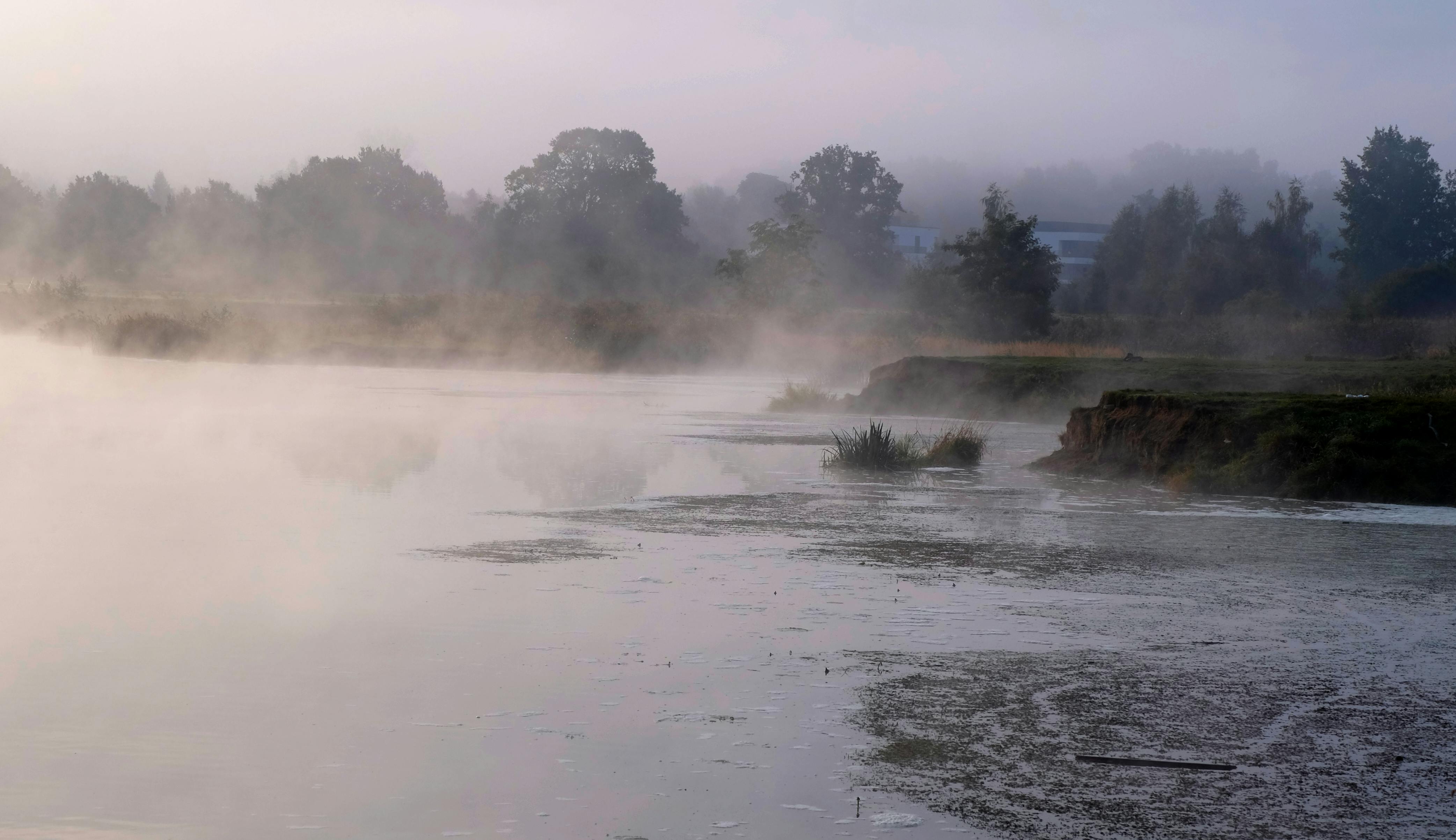 Photo by Roman Biernacki - https://www.pexels.com/@szafran