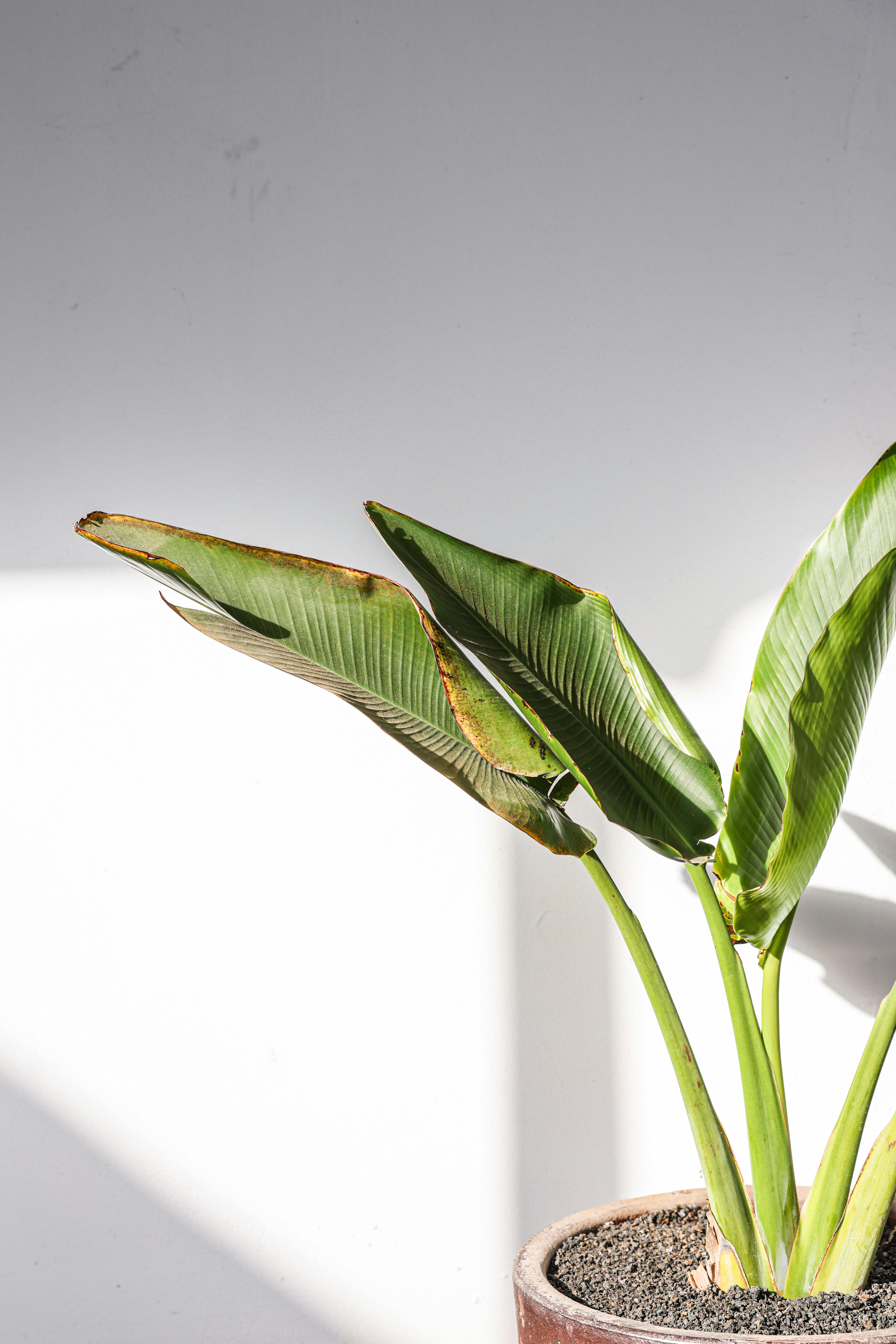 Photo by Cup of Couple - https://www.pexels.com/@cup-of-couple