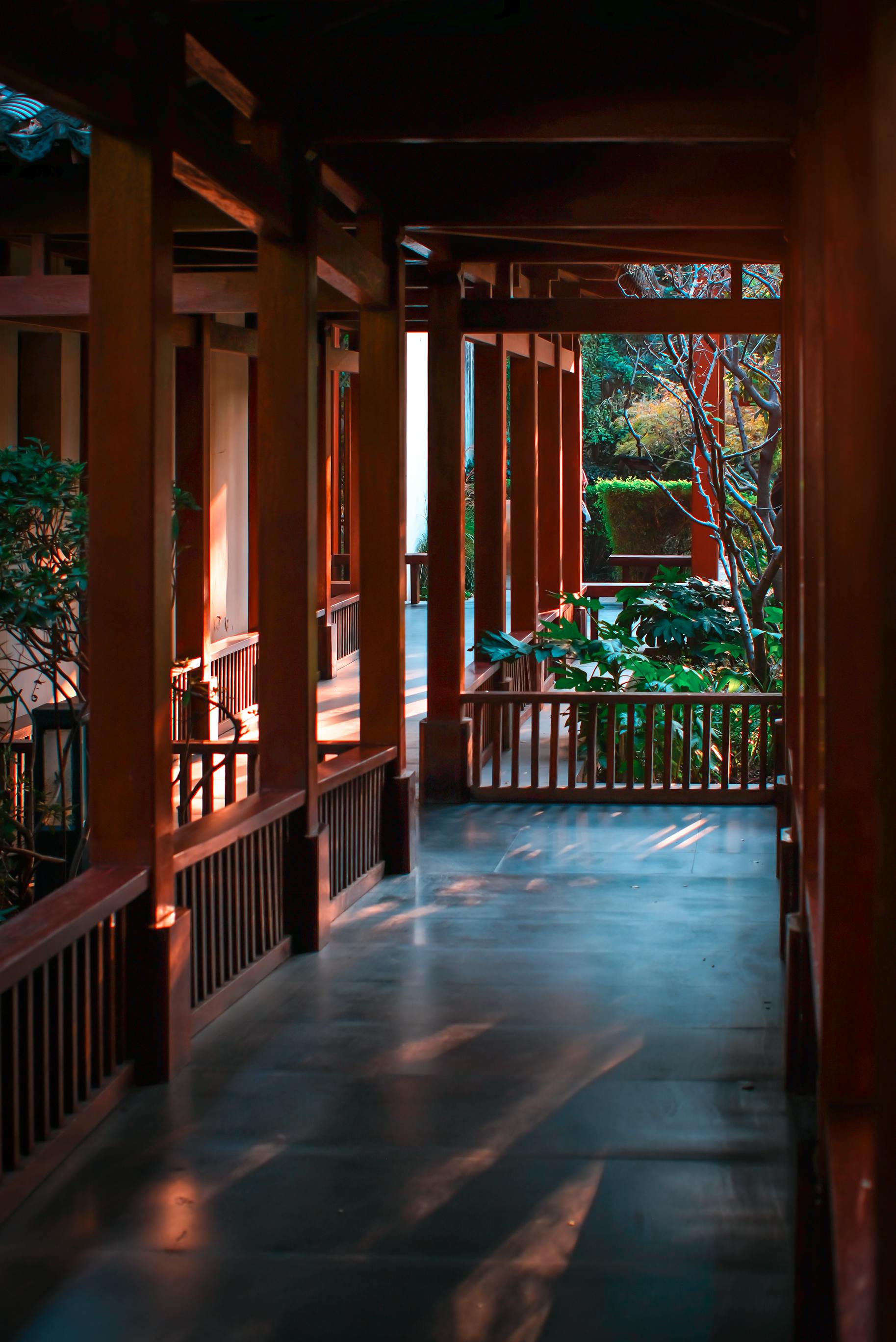 Photo by BI ravencrow - https://www.pexels.com/@bi-ravencrow-2154273033