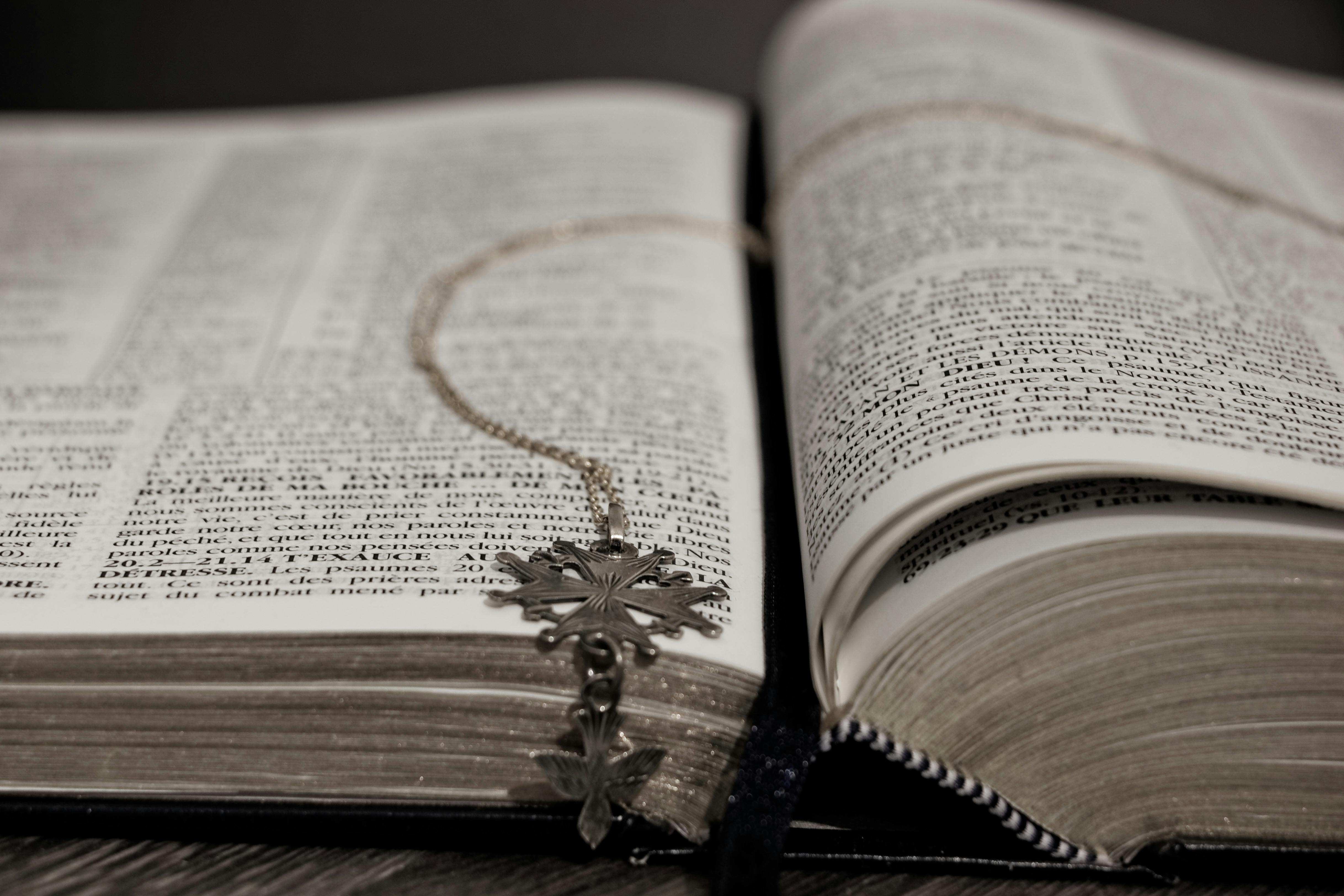 Photo by Bernard RIBIER - https://www.pexels.com/@bernard-ribier-266254605