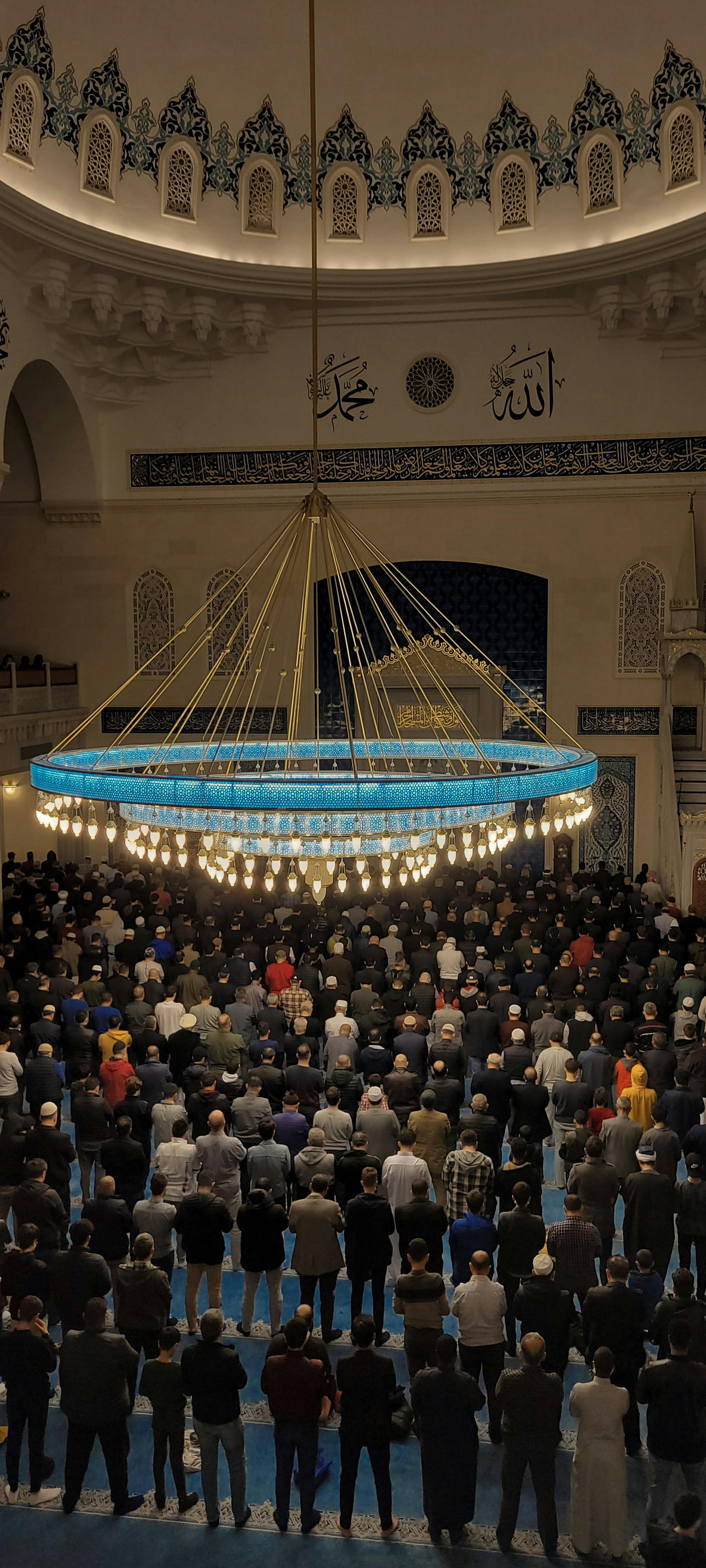 Photo by Sara mazin - https://www.pexels.com/@saramazin