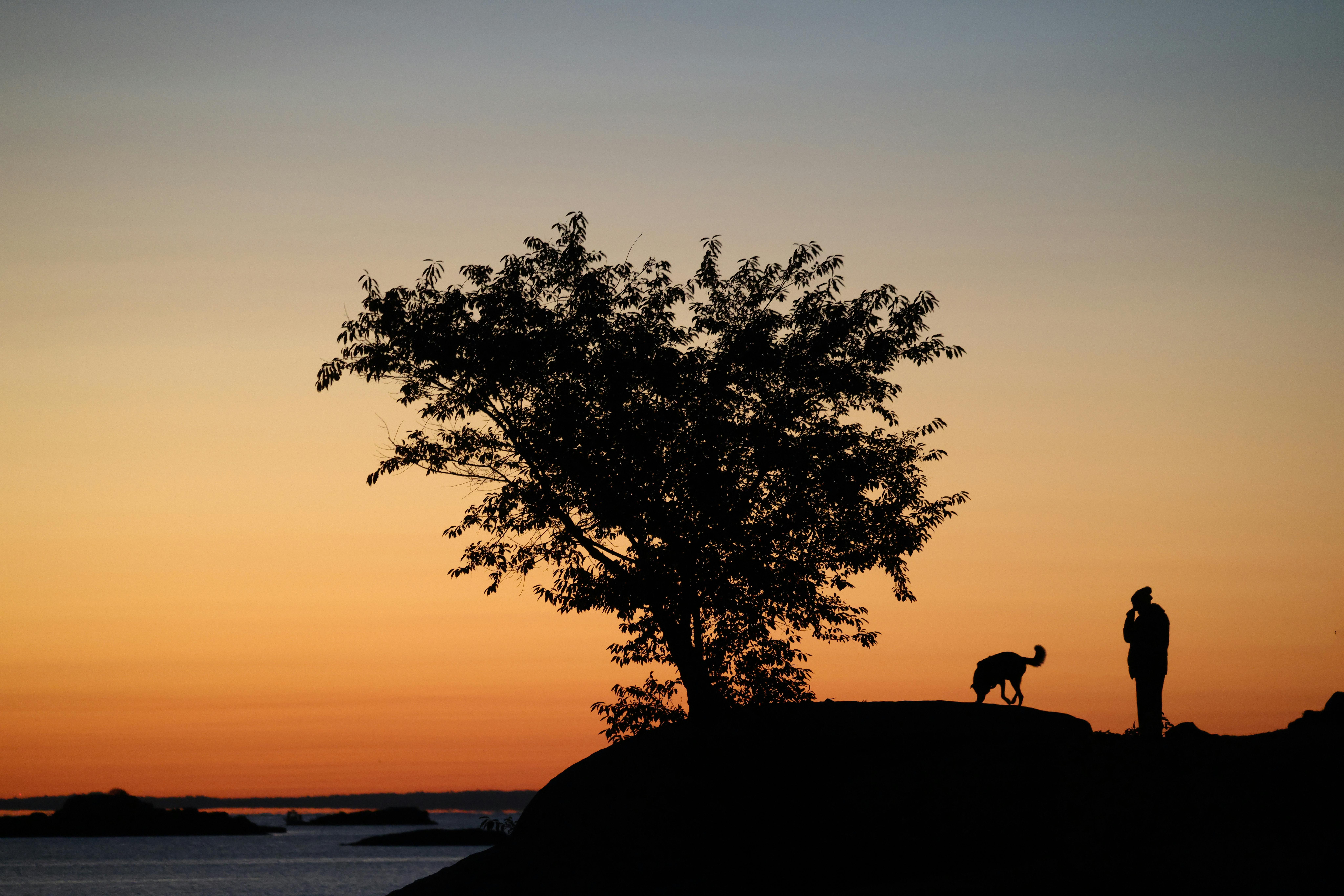 Photo by David Kanigan - https://www.pexels.com/@david-kanigan-239927285