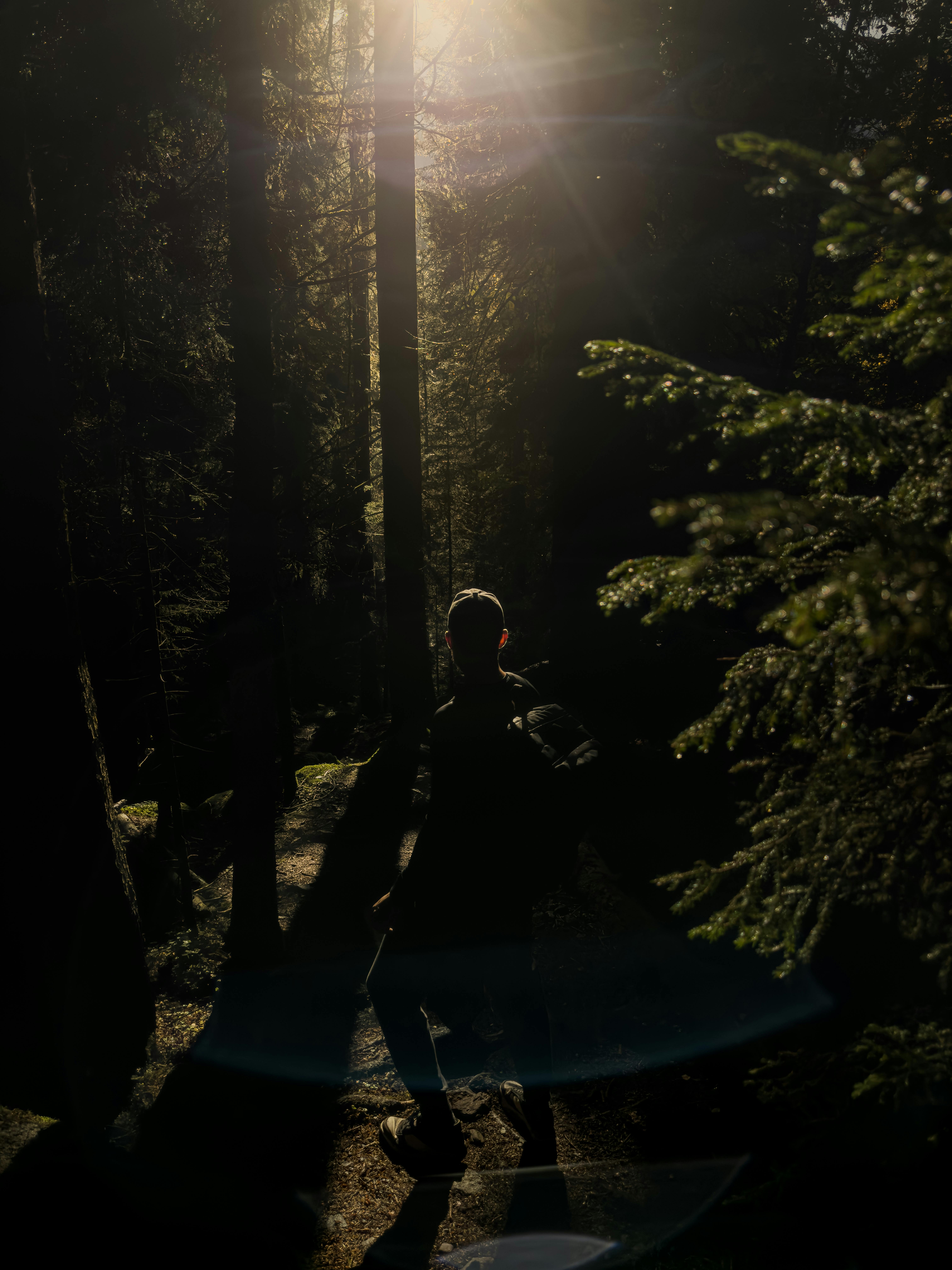 Photo by PSRVSKY PI - https://www.pexels.com/@psrvsky-pi-54155085