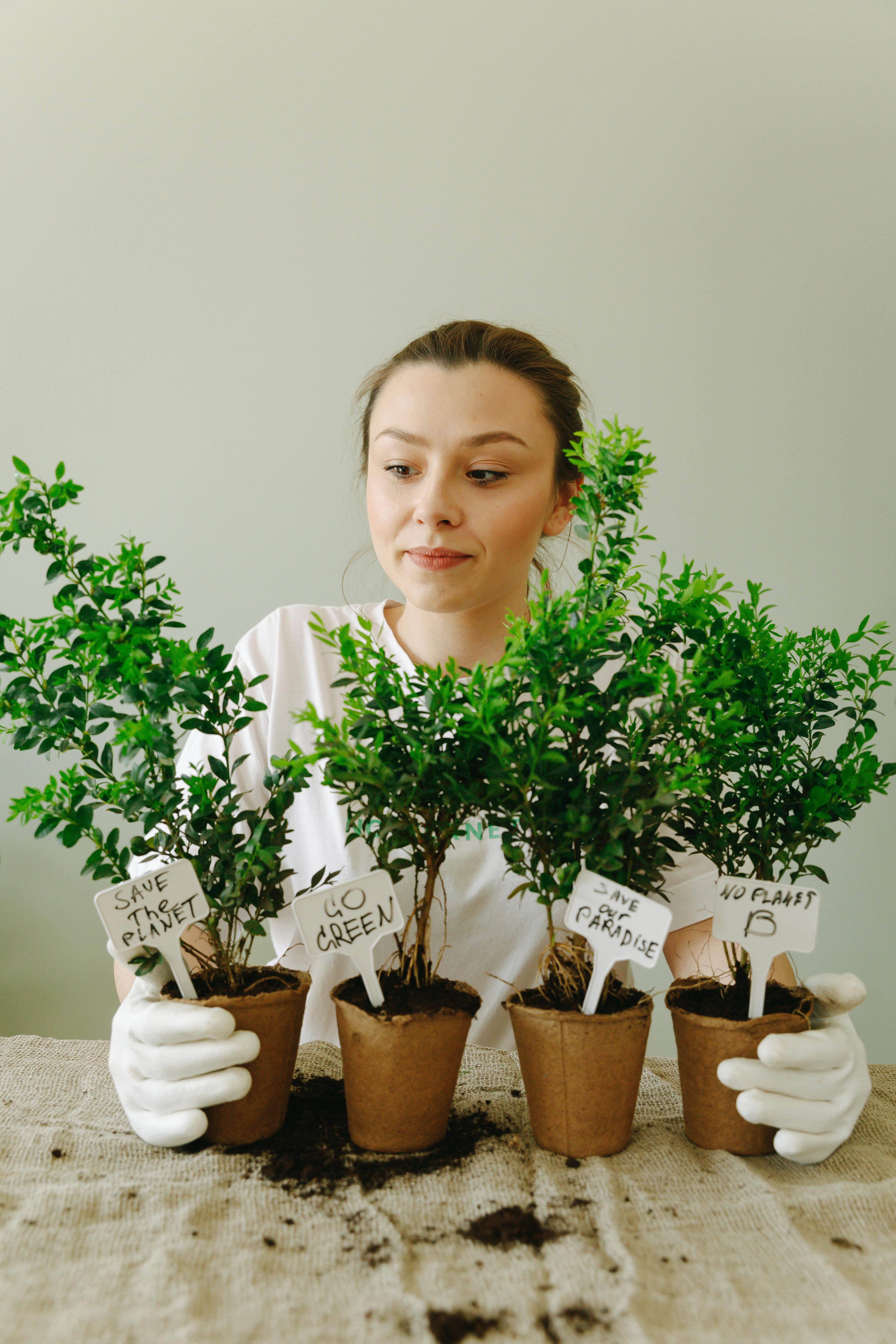 Photo by Thirdman - https://www.pexels.com/@thirdman