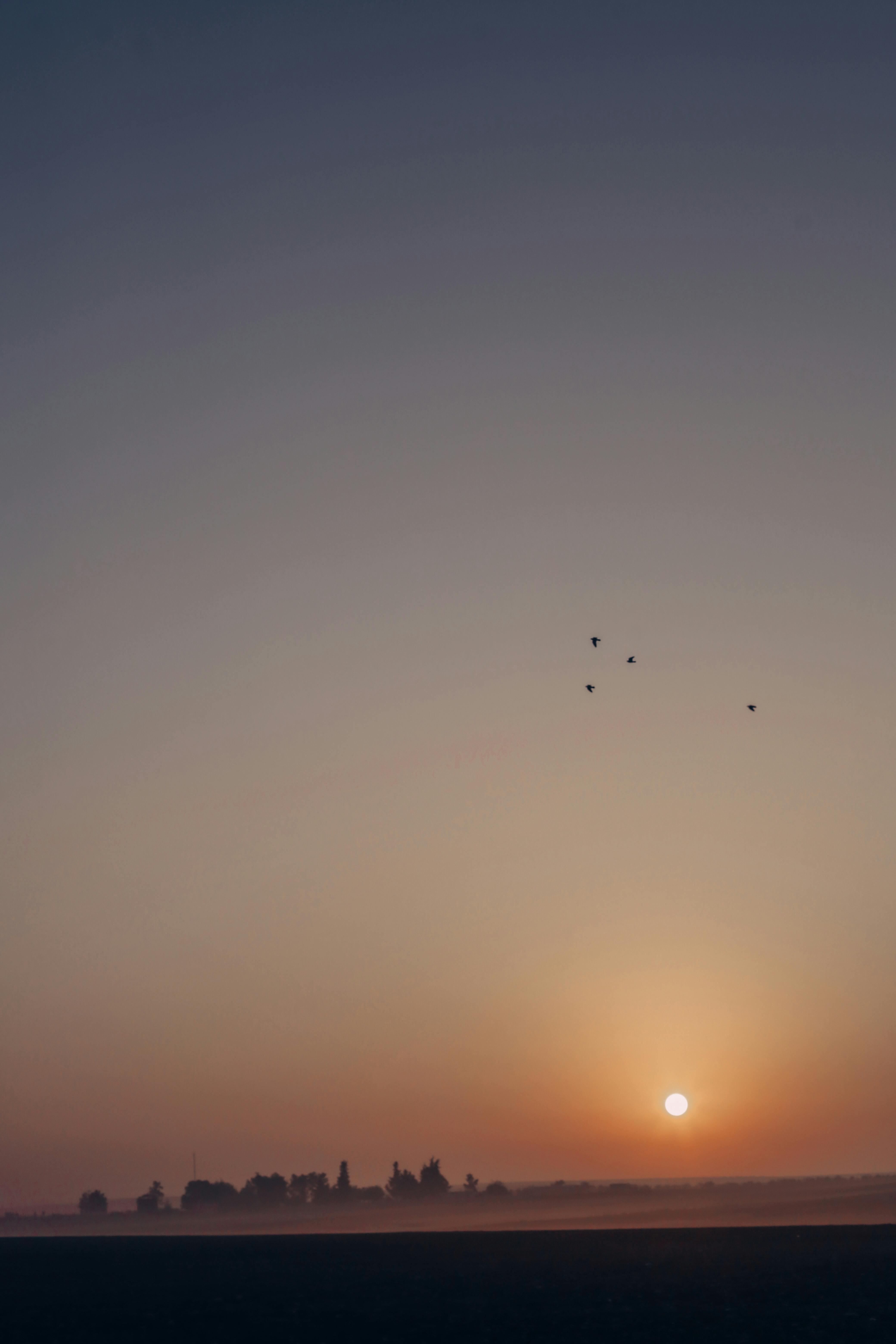 Photo by SERHAT TUĞ - https://www.pexels.com/@serhattugg