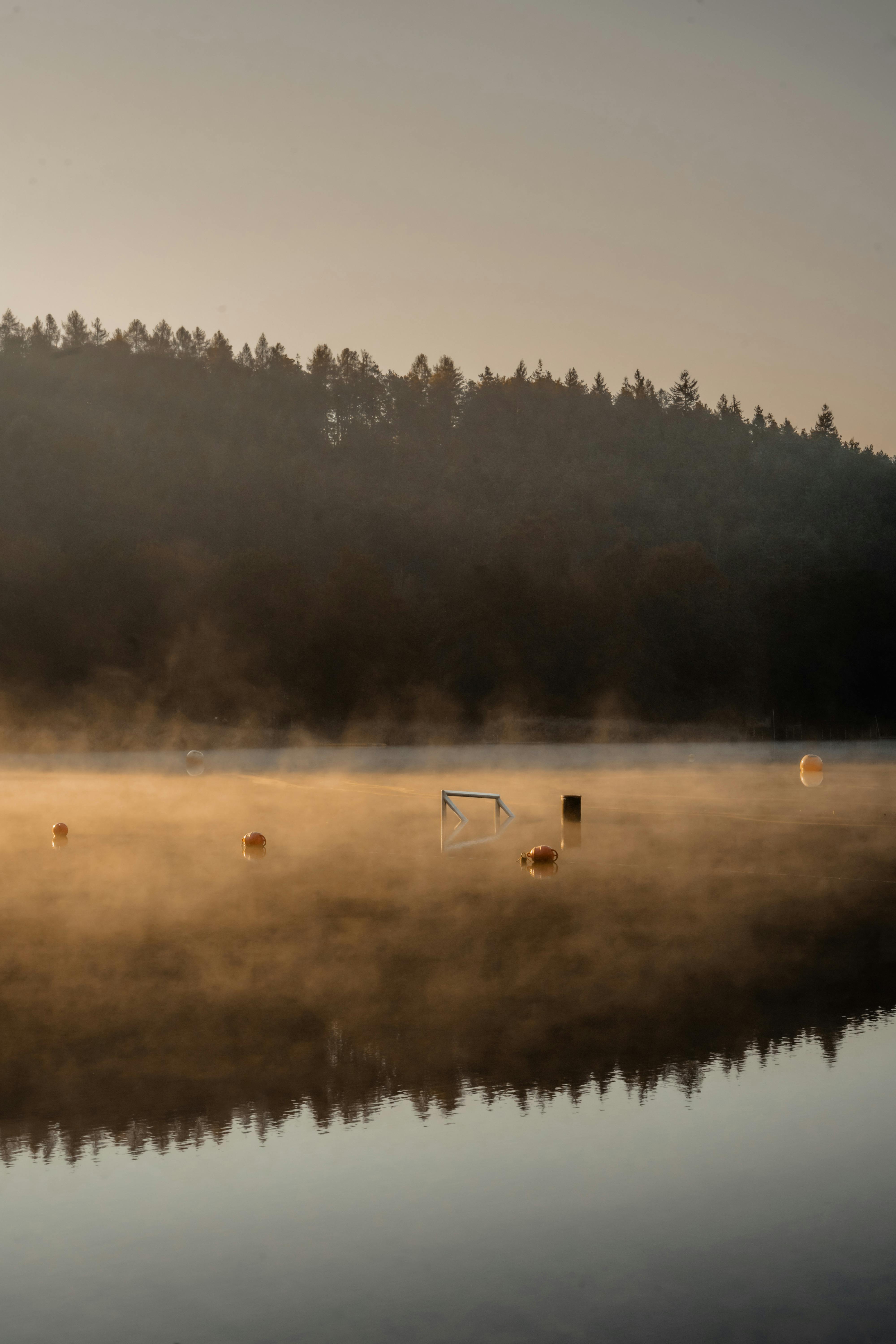 Photo by Carolin Wenske - https://www.pexels.com/@carolin-wenske-762365559