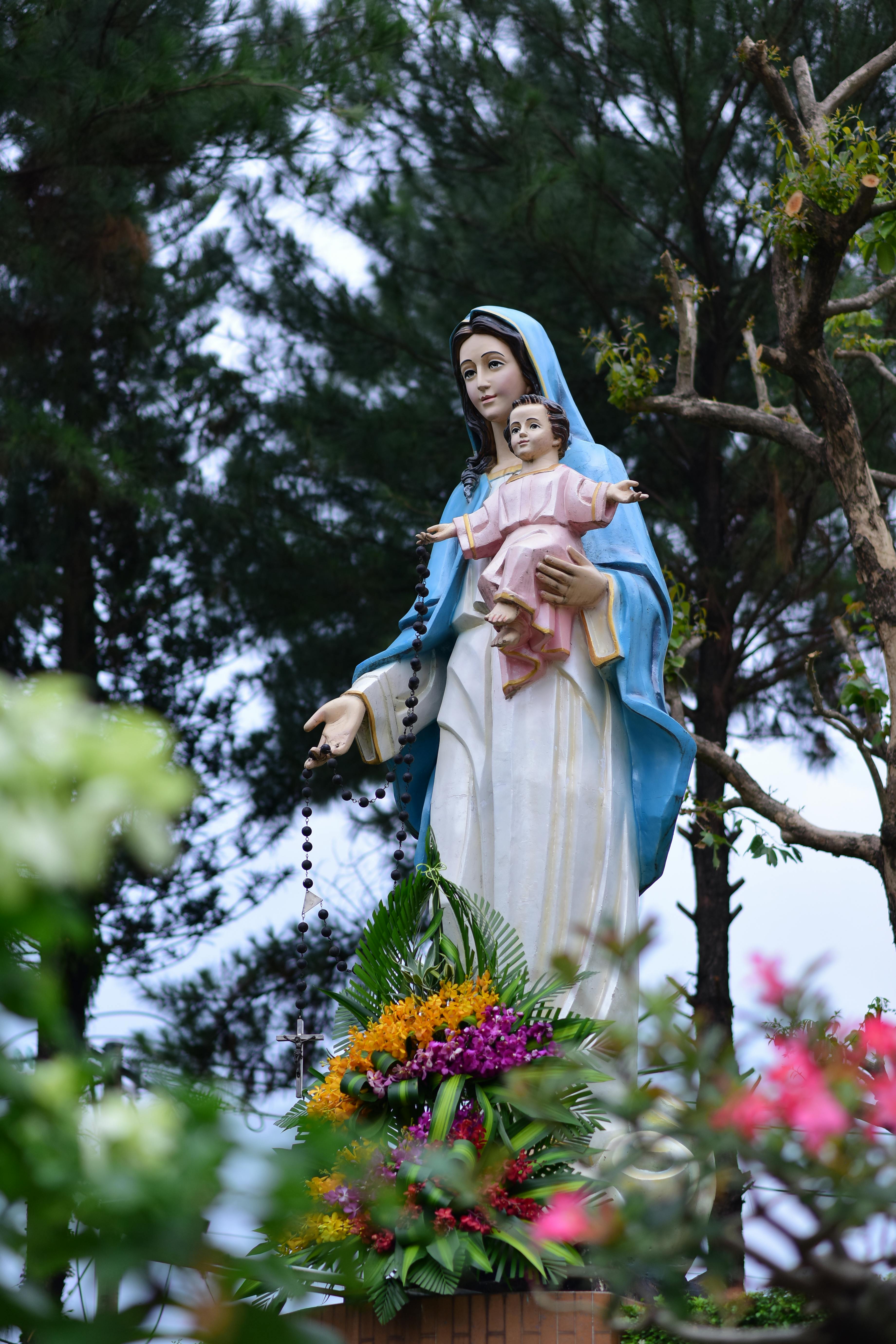 Photo by Sóc Năng Động - https://www.pexels.com/@soc-nang-d-ng-2150345854