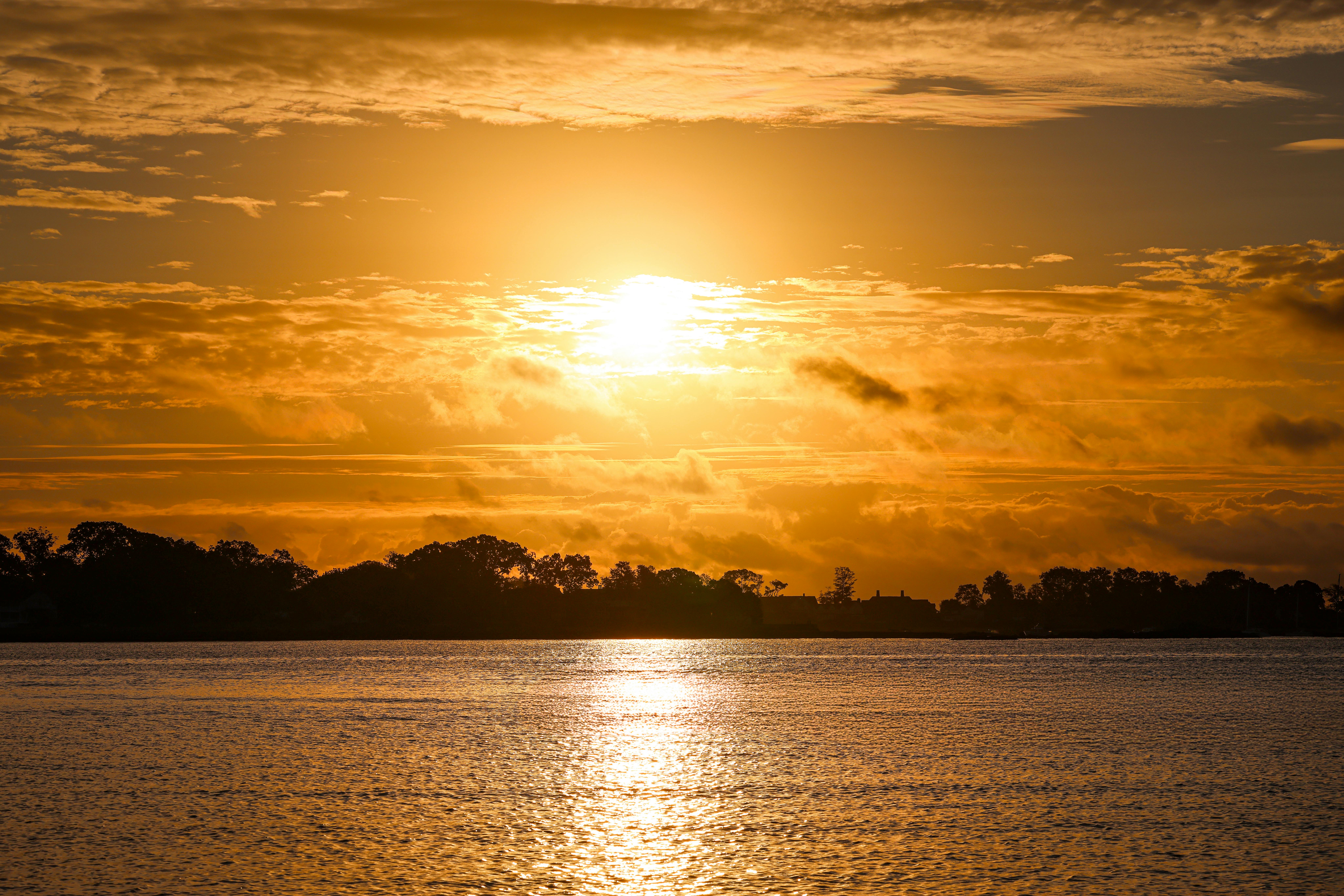 Photo by David Kanigan - https://www.pexels.com/@david-kanigan-239927285