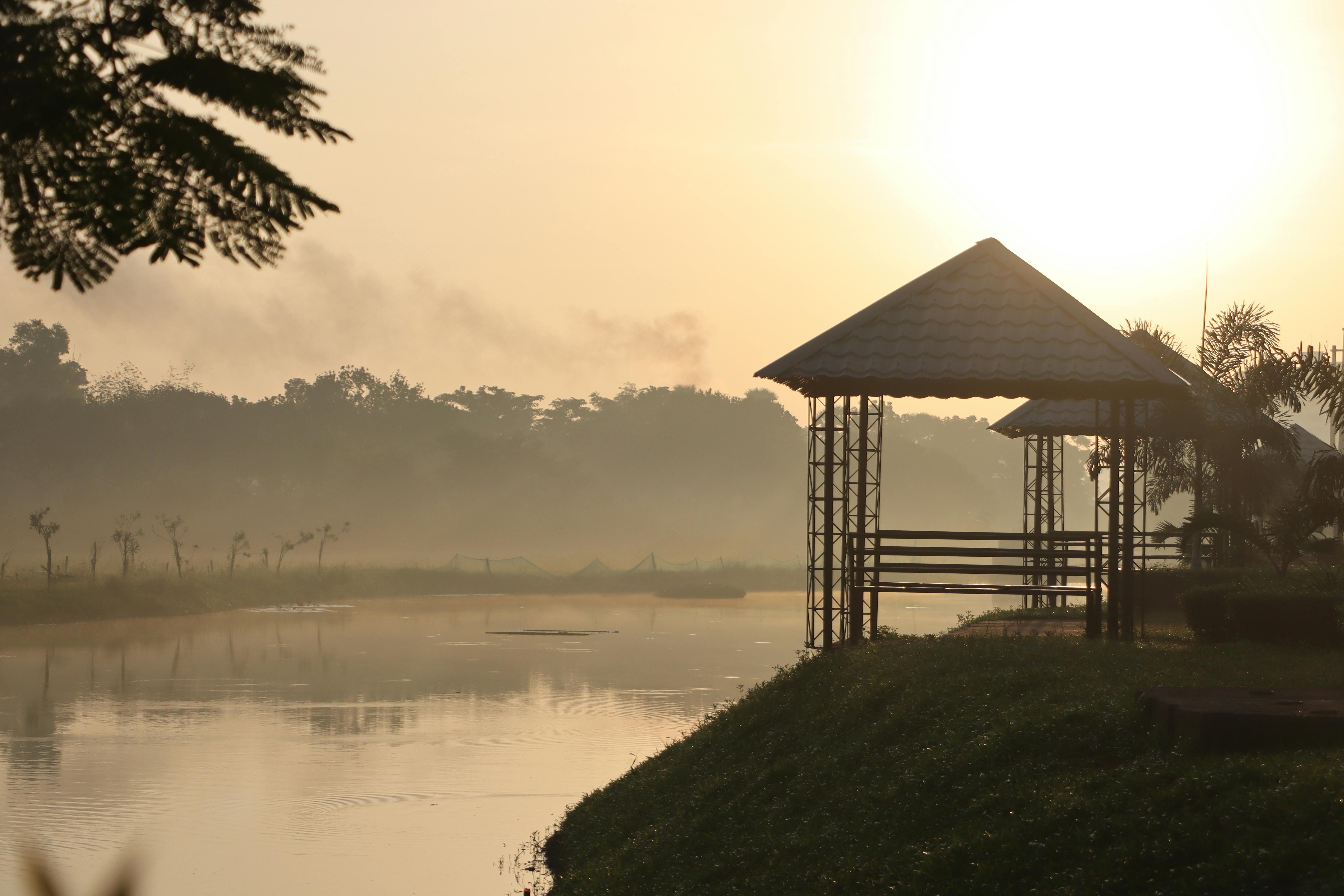 Photo by Mostofa Wakil - https://www.pexels.com/@mostofa-wakil-2157085553