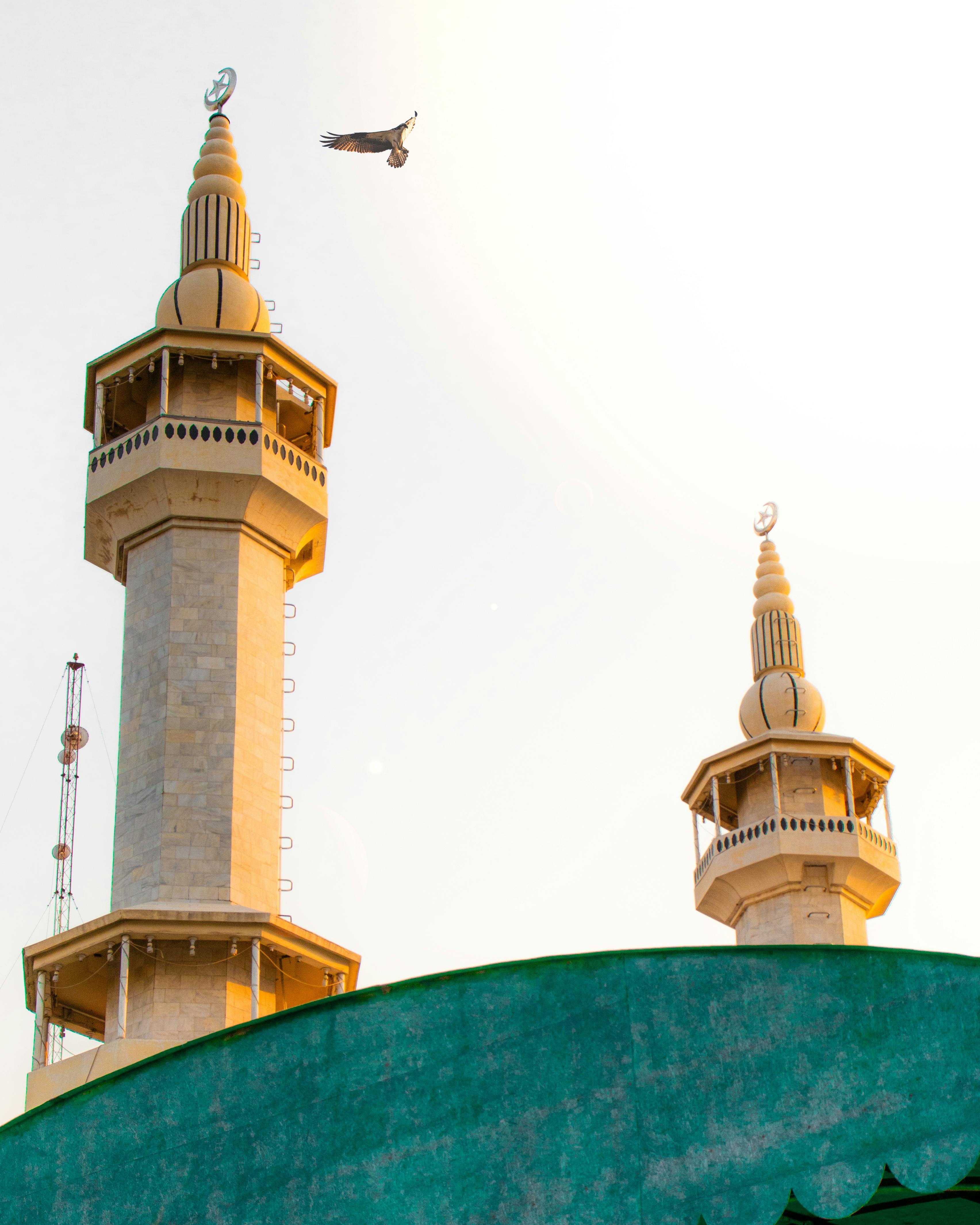 Photo by Muhammad Amaan - https://www.pexels.com/@muhammad-amaan-2439920