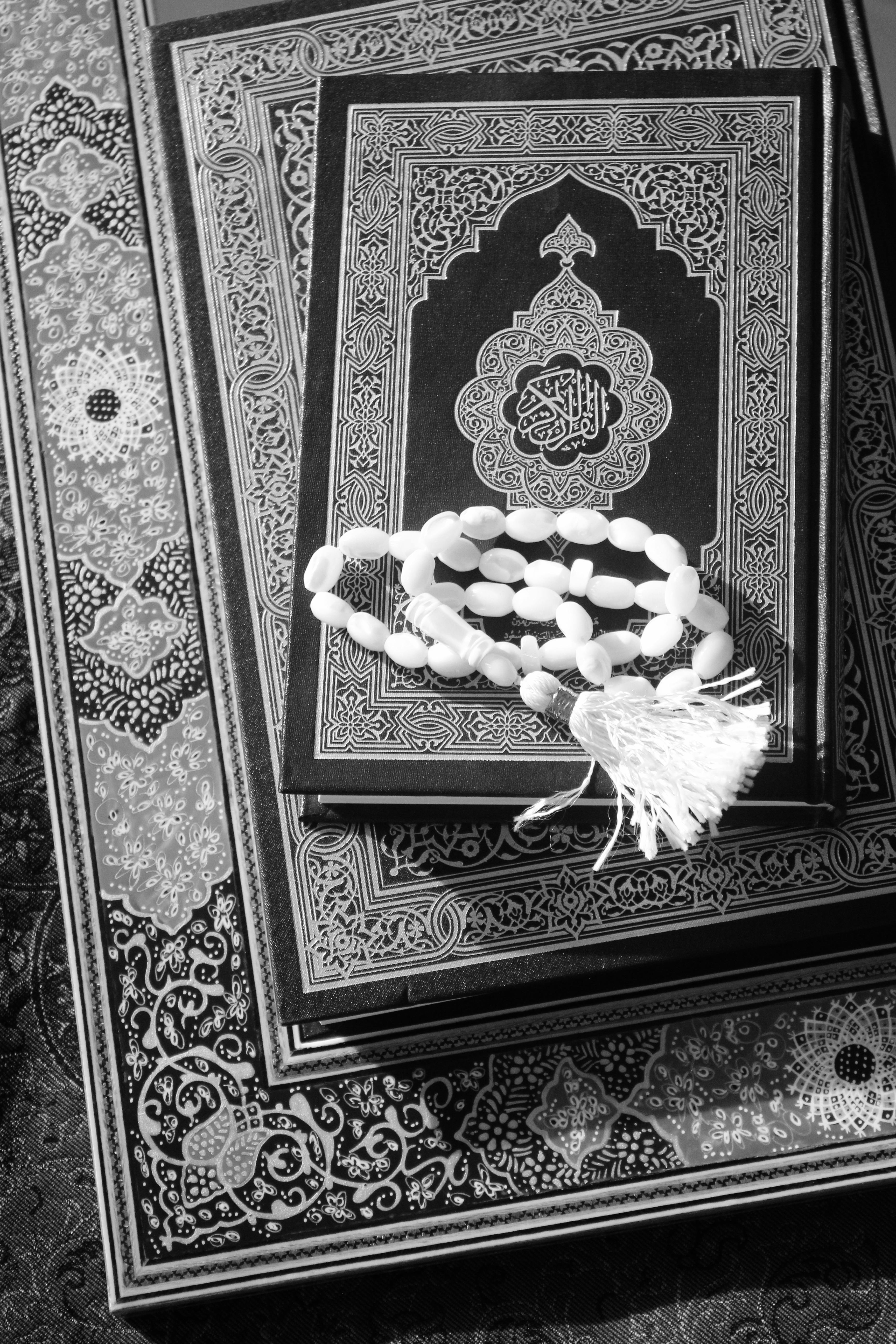 Photo by AmirHadi Manavi - https://www.pexels.com/@amirhadi-manavi-1074353688