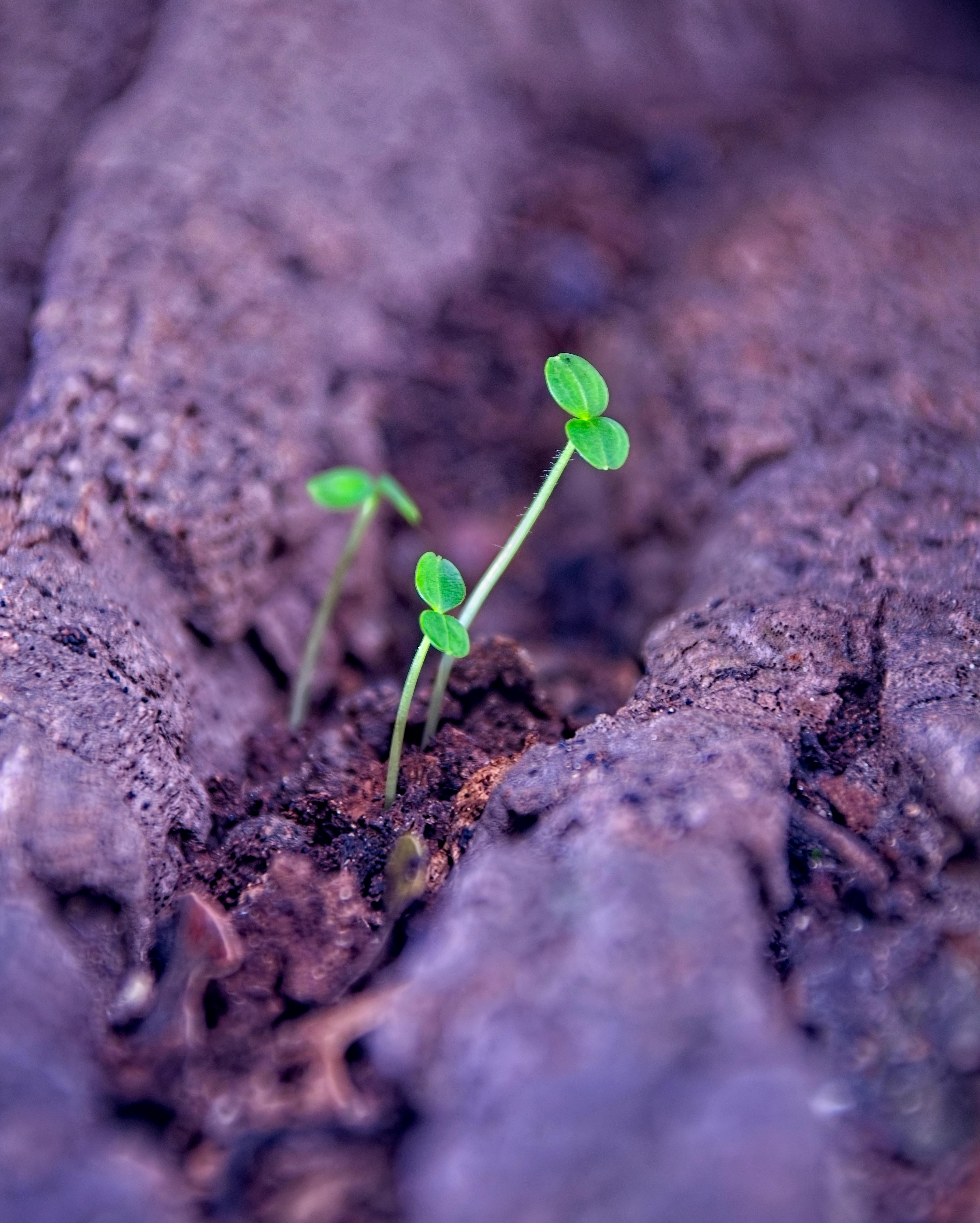 Photo by Alexiou Konstadinos - https://www.pexels.com/@alexiou-konstadinos-383796215