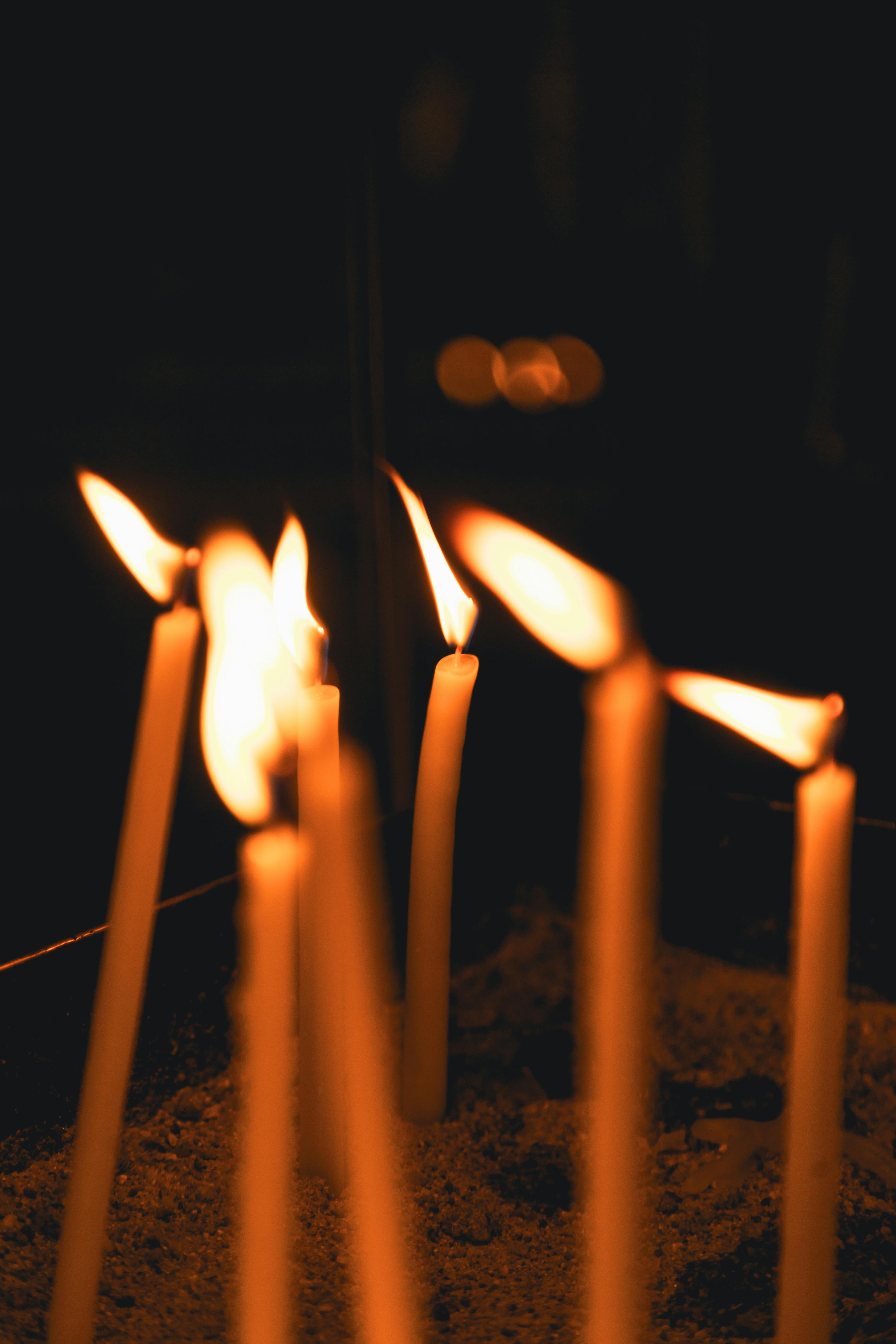 Photo by Meriç Tuna - https://www.pexels.com/@merictuna