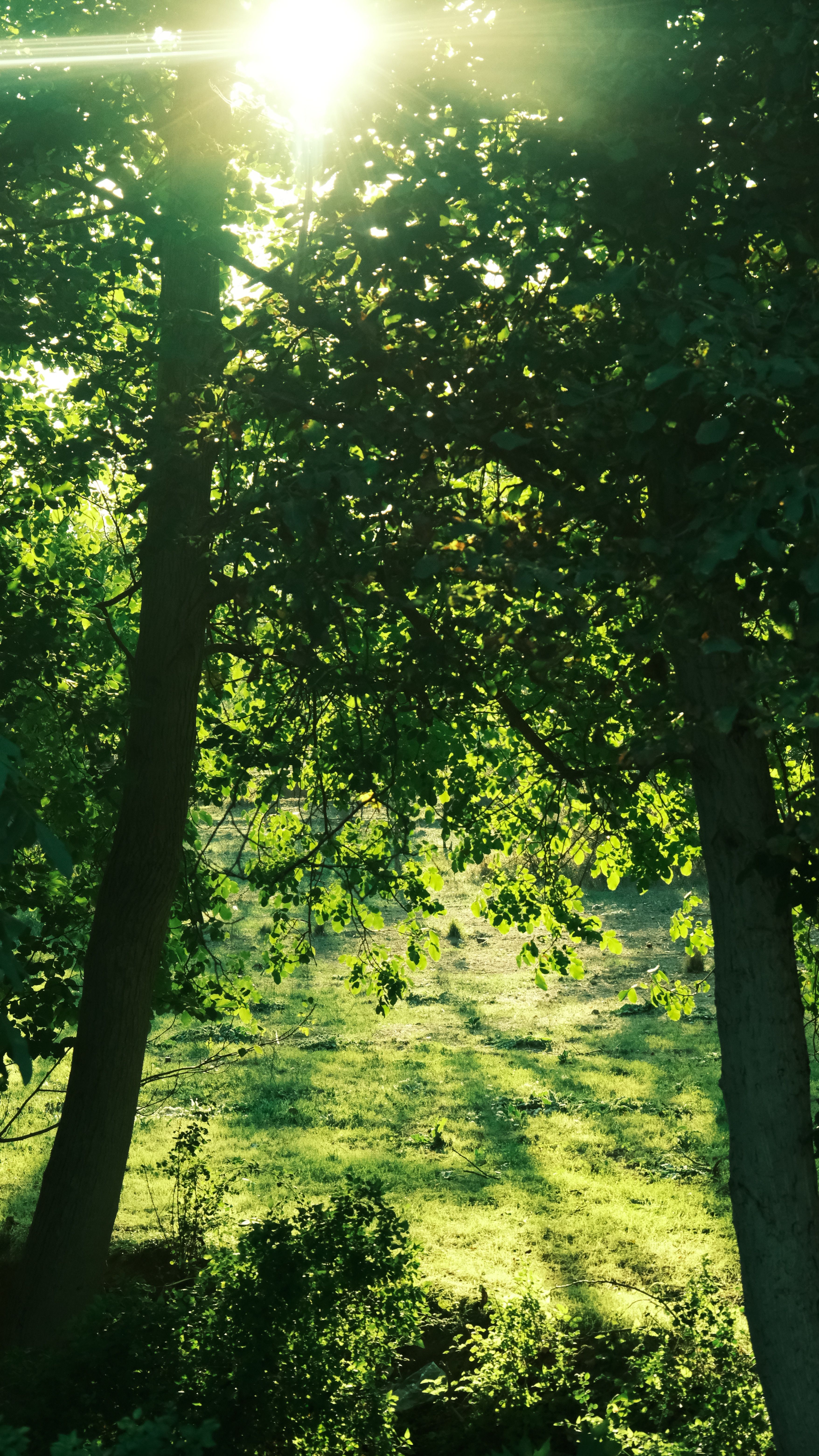 Photo by Rahime Gül - https://www.pexels.com/@rahimegul