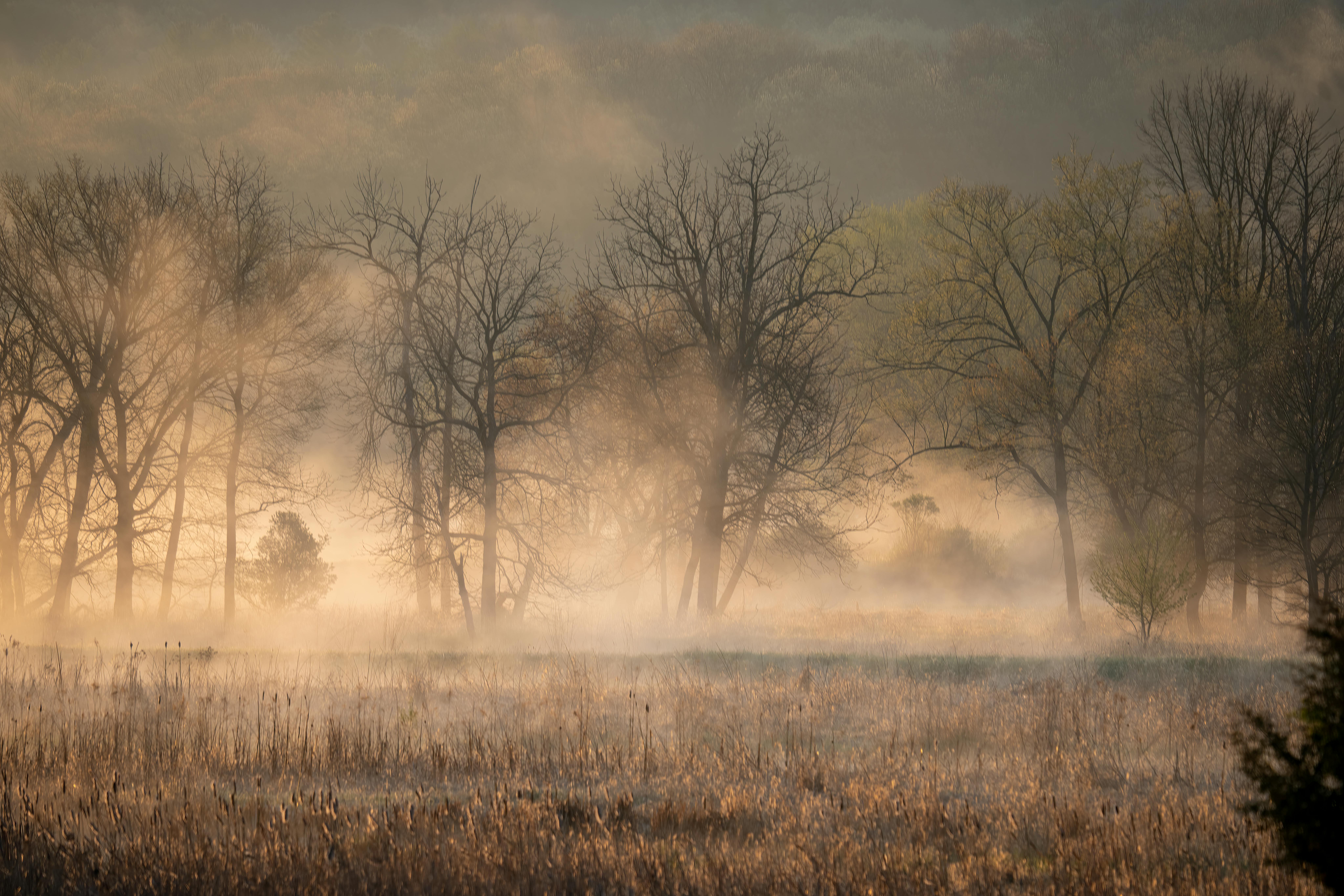 Photo by Tom Fisk - https://www.pexels.com/@tomfisk