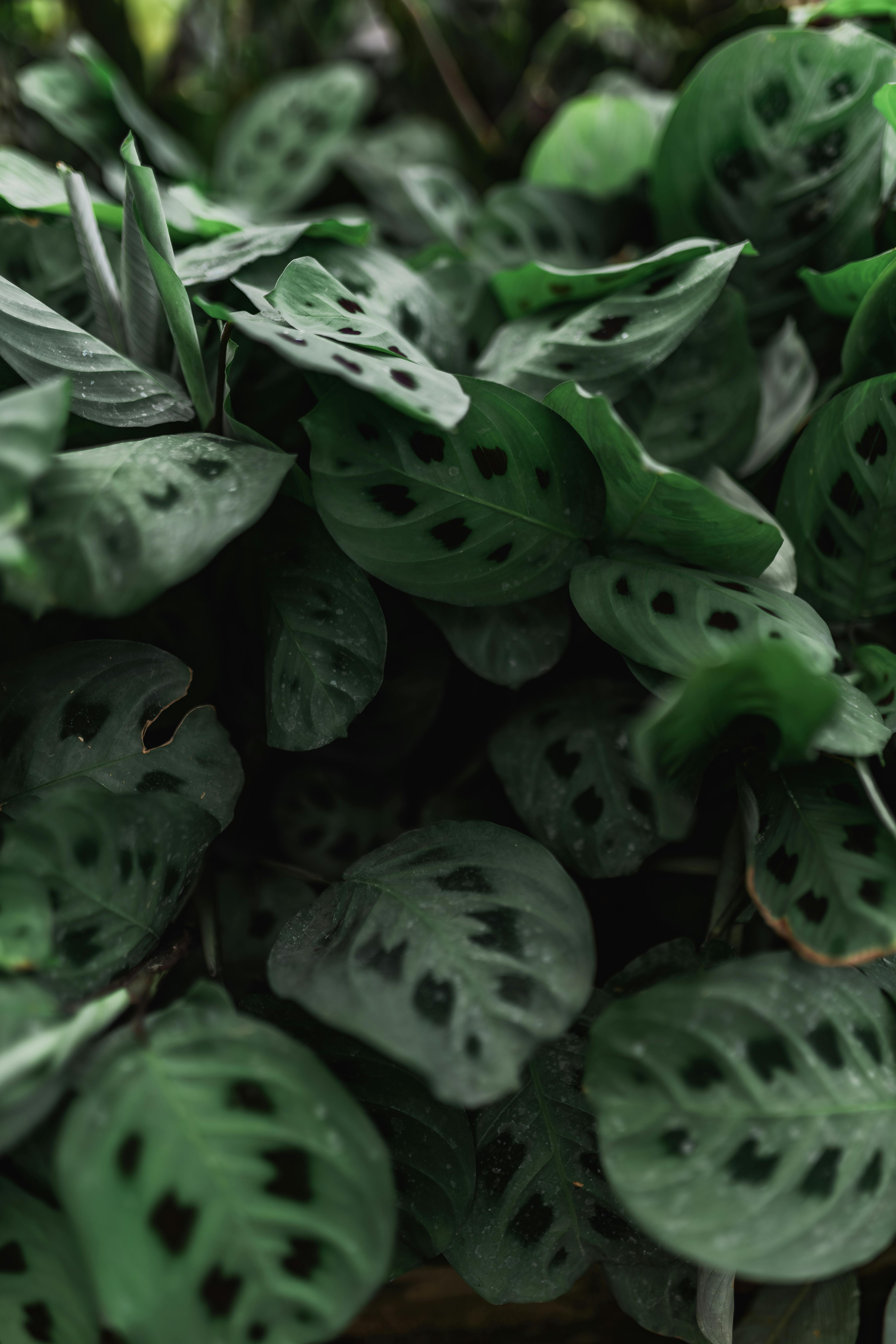 Photo by Matheus Bertelli - https://www.pexels.com/@bertellifotografia