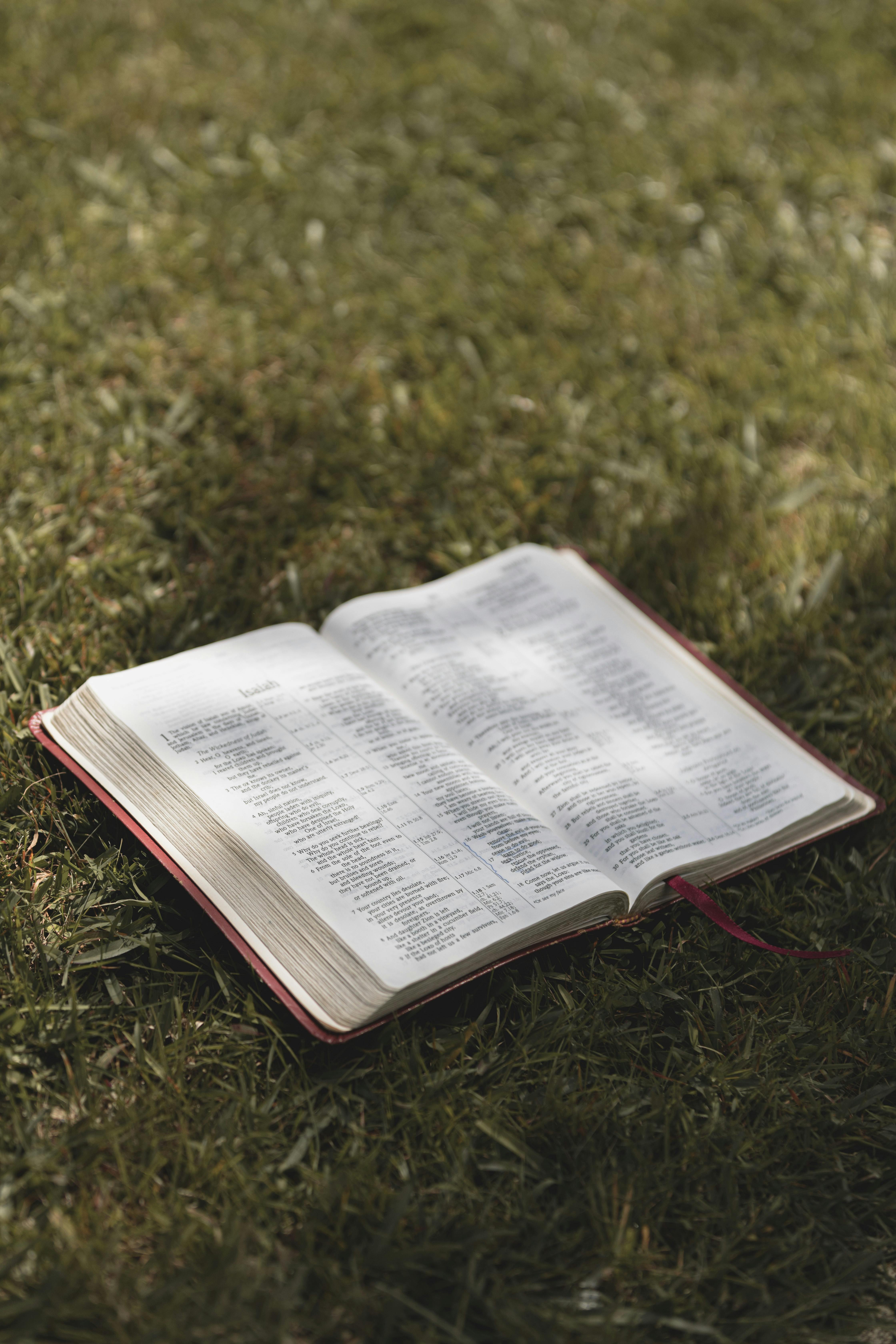 Photo by Petra Reid - https://www.pexels.com/@petra-reid-419907087