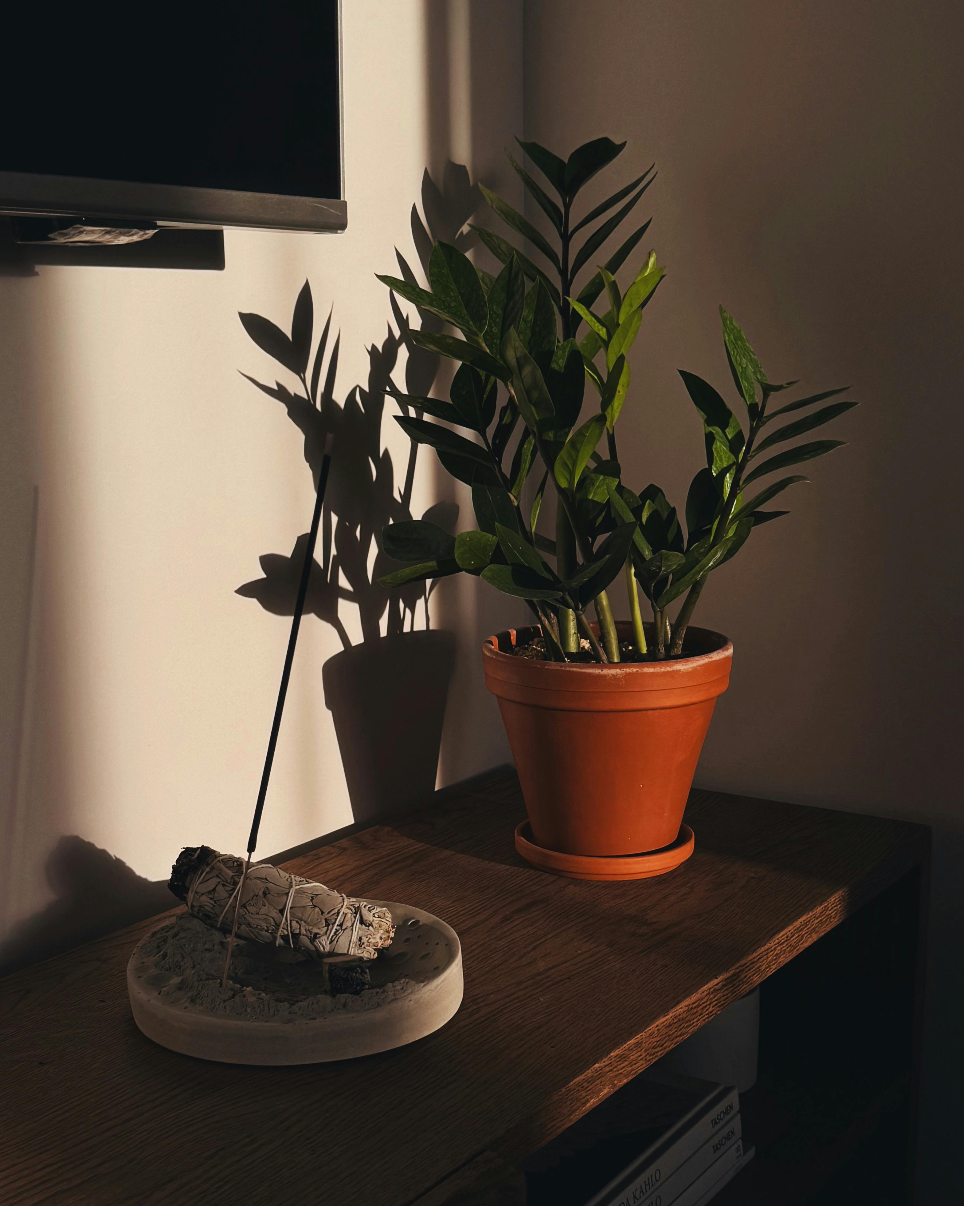 Photo by Iryna Varanovich - https://www.pexels.com/@luchik