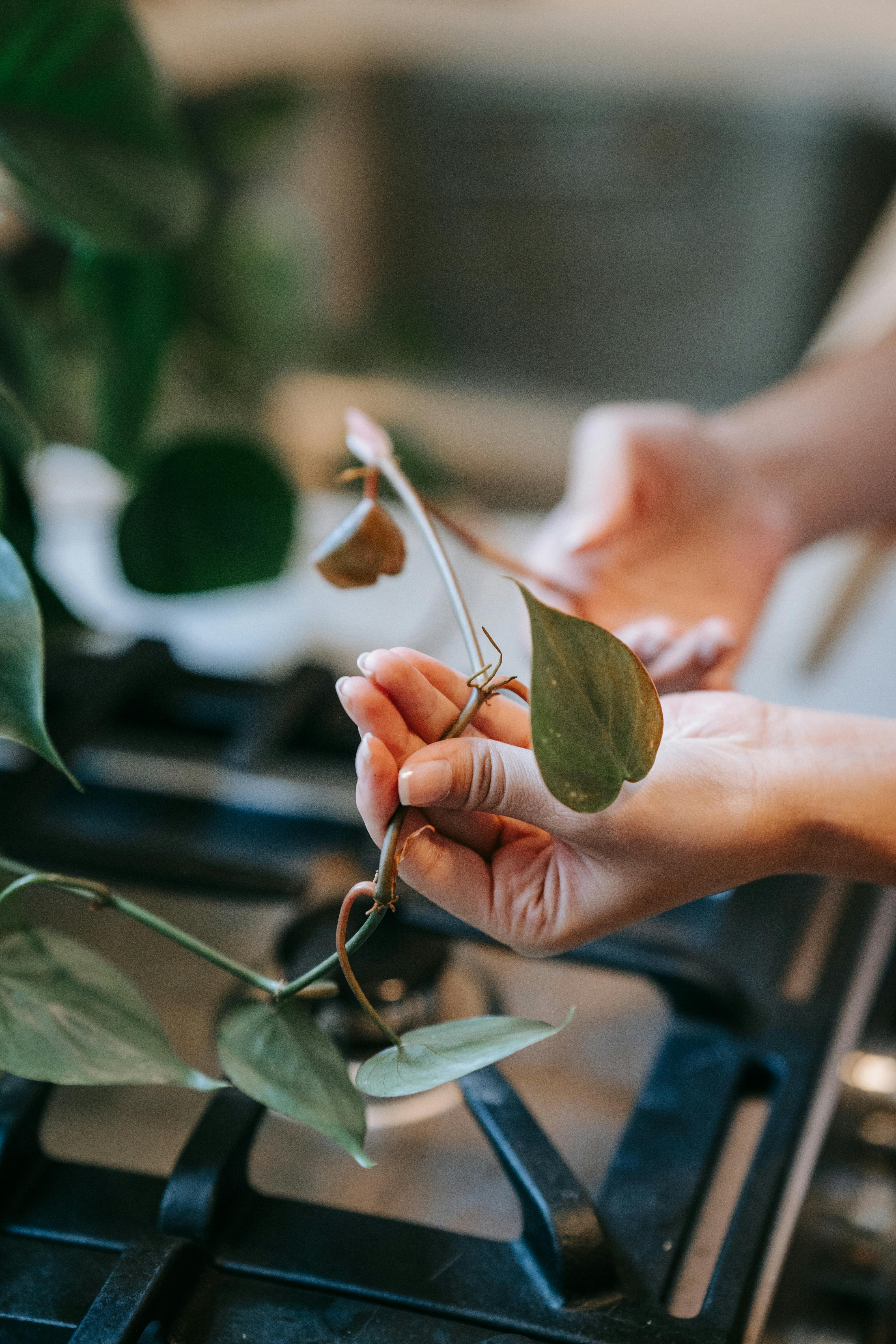 Photo by Sasha Kim - https://www.pexels.com/@sasha-kim