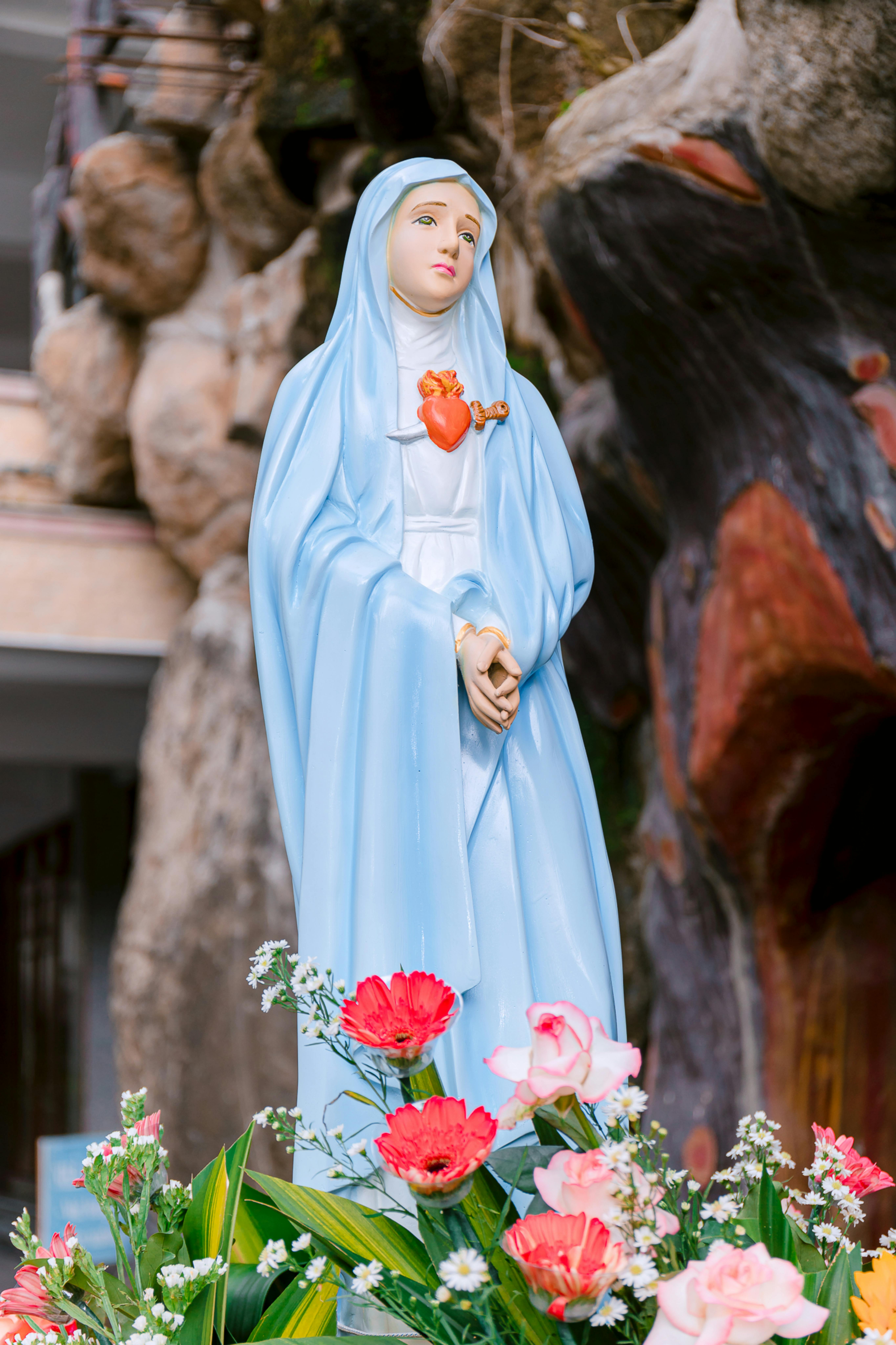 Photo by 🇻🇳🇻🇳Nguyễn Tiến Thịnh 🇻🇳🇻🇳 - https://www.pexels.com/@nguy-n-ti-n-th-nh-2150376175