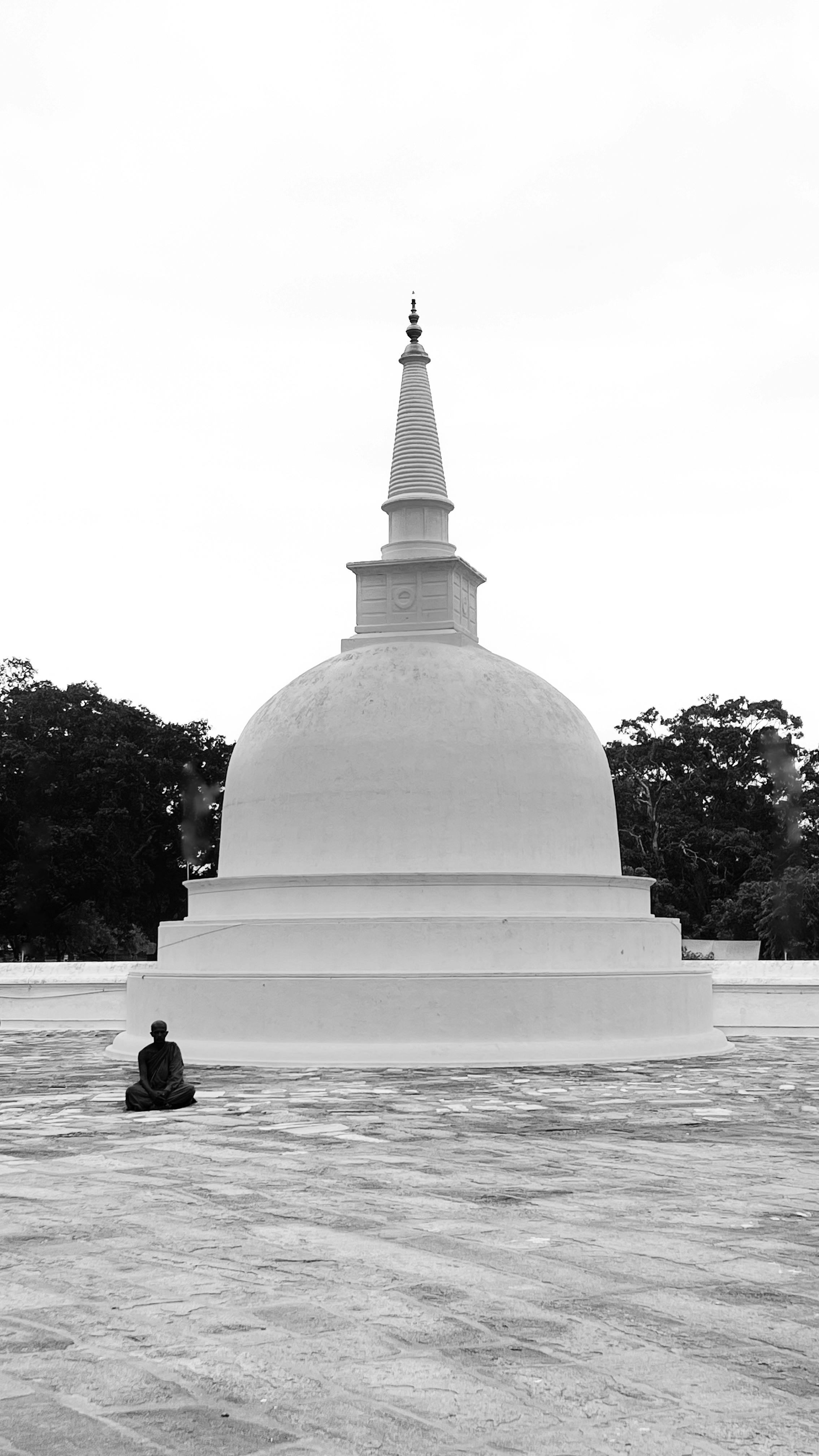 Photo by Thanzeena Z. Husain - https://www.pexels.com/@thanzeena-z-husain-694183