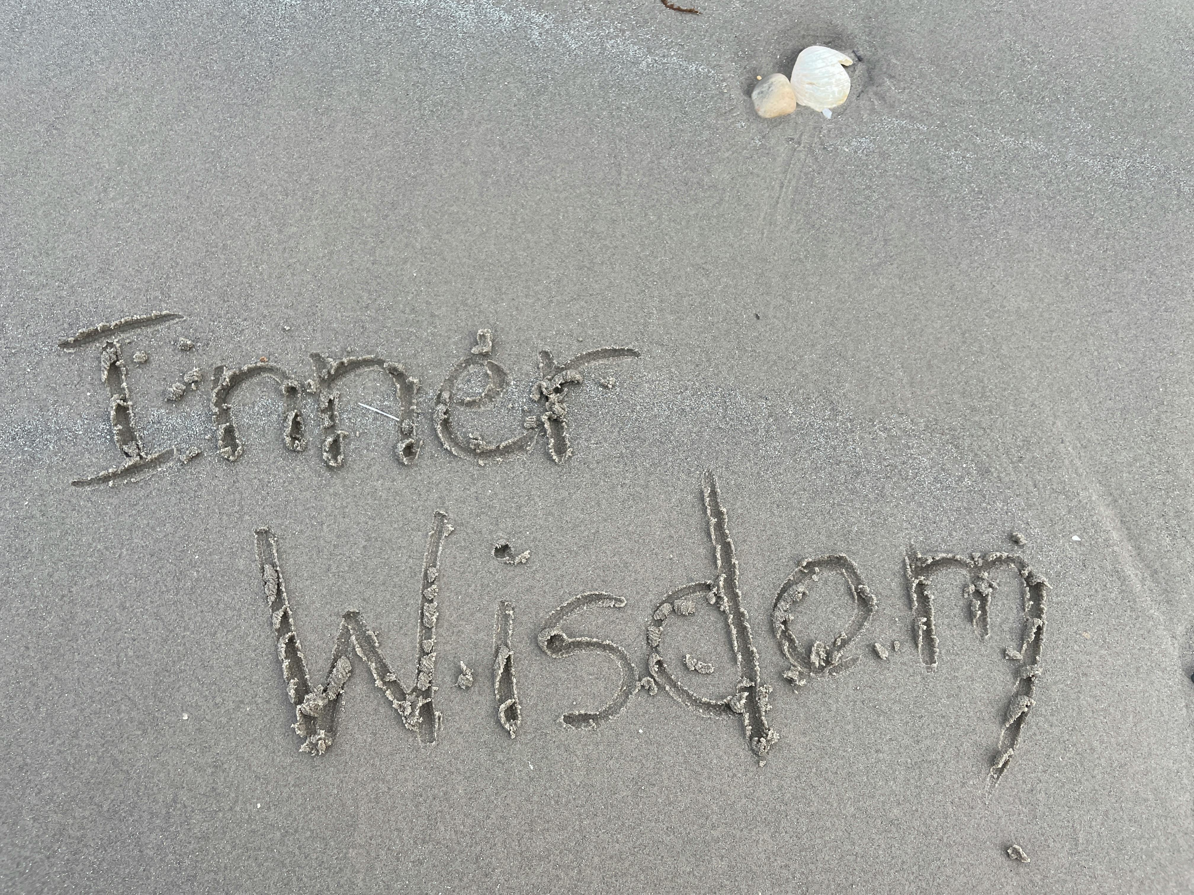 Photo by James Hutton - https://www.pexels.com/@james-hutton-36099436