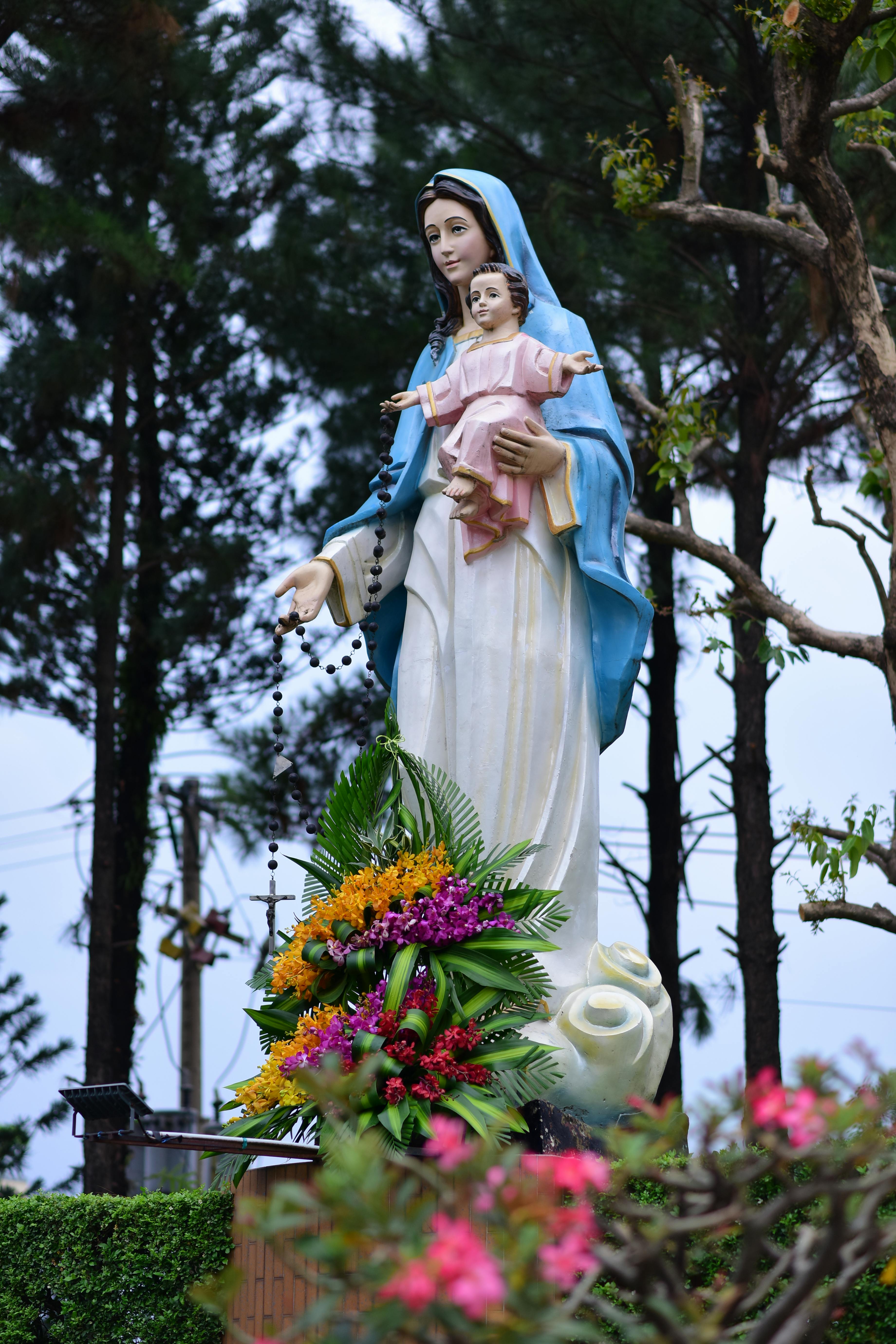 Photo by Sóc Năng Động - https://www.pexels.com/@soc-nang-d-ng-2150345854