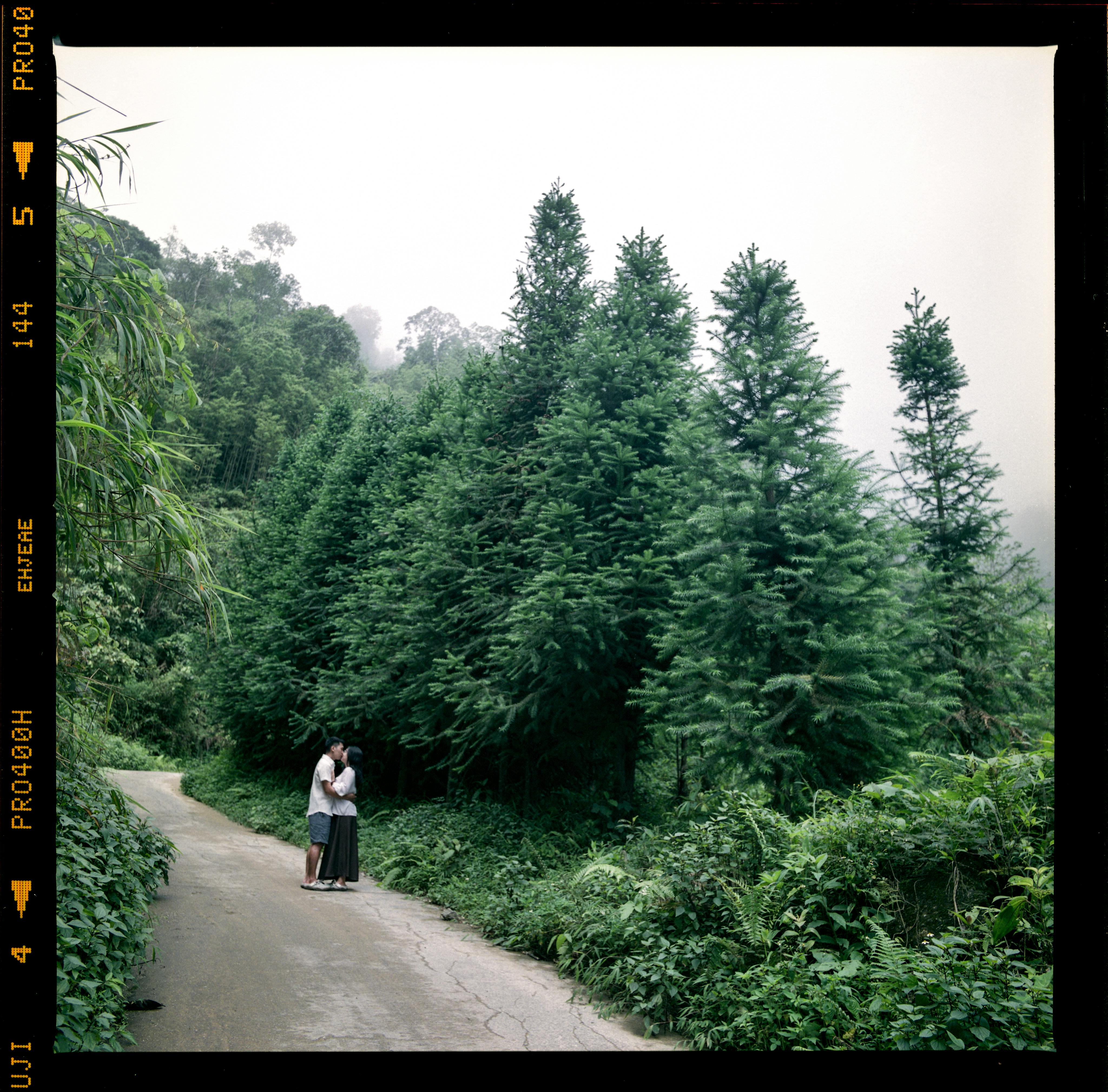 Photo by Q. Hưng Phạm - https://www.pexels.com/@qhung999