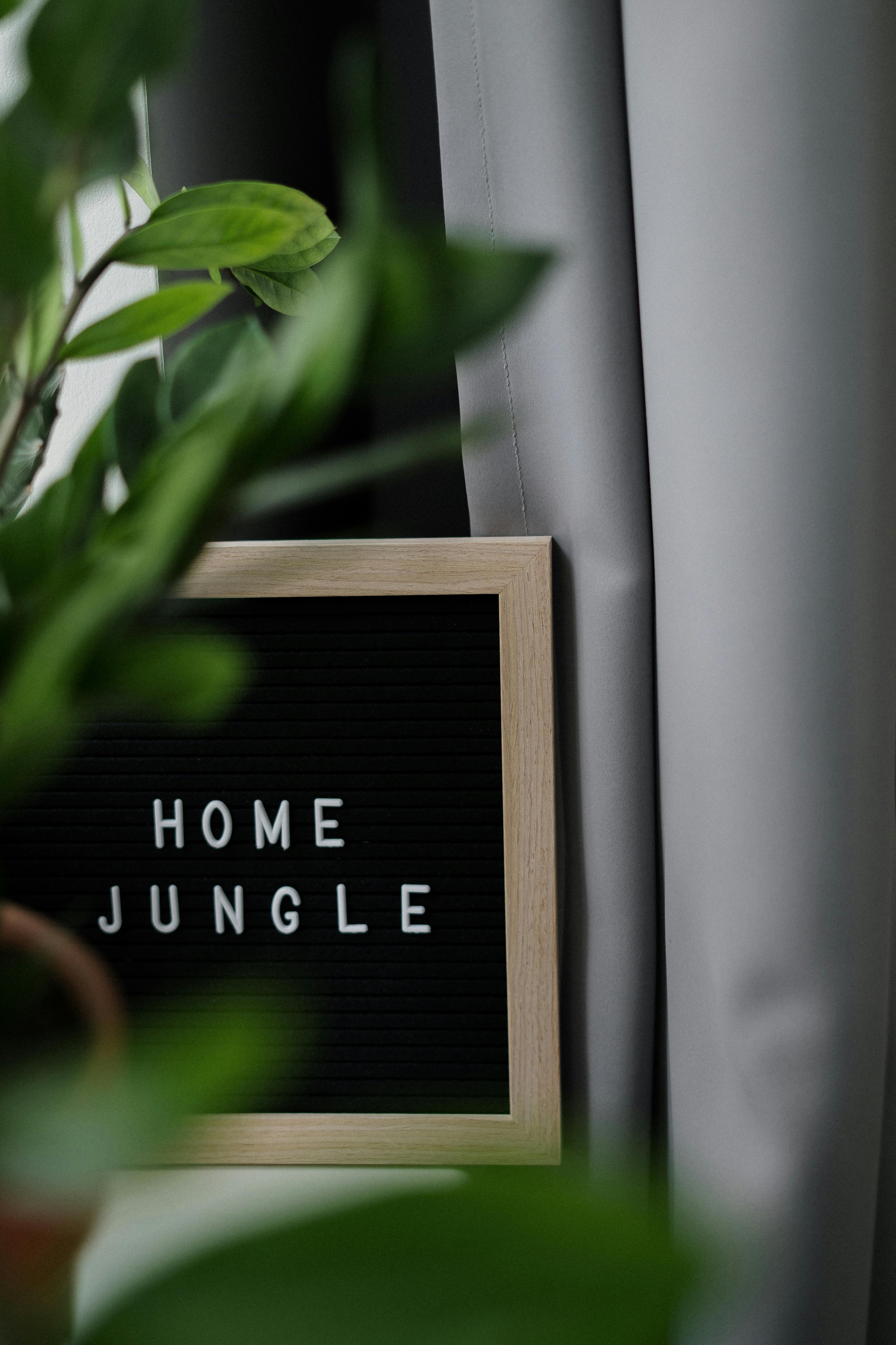 Photo by cottonbro studio - https://www.pexels.com/@cottonbro