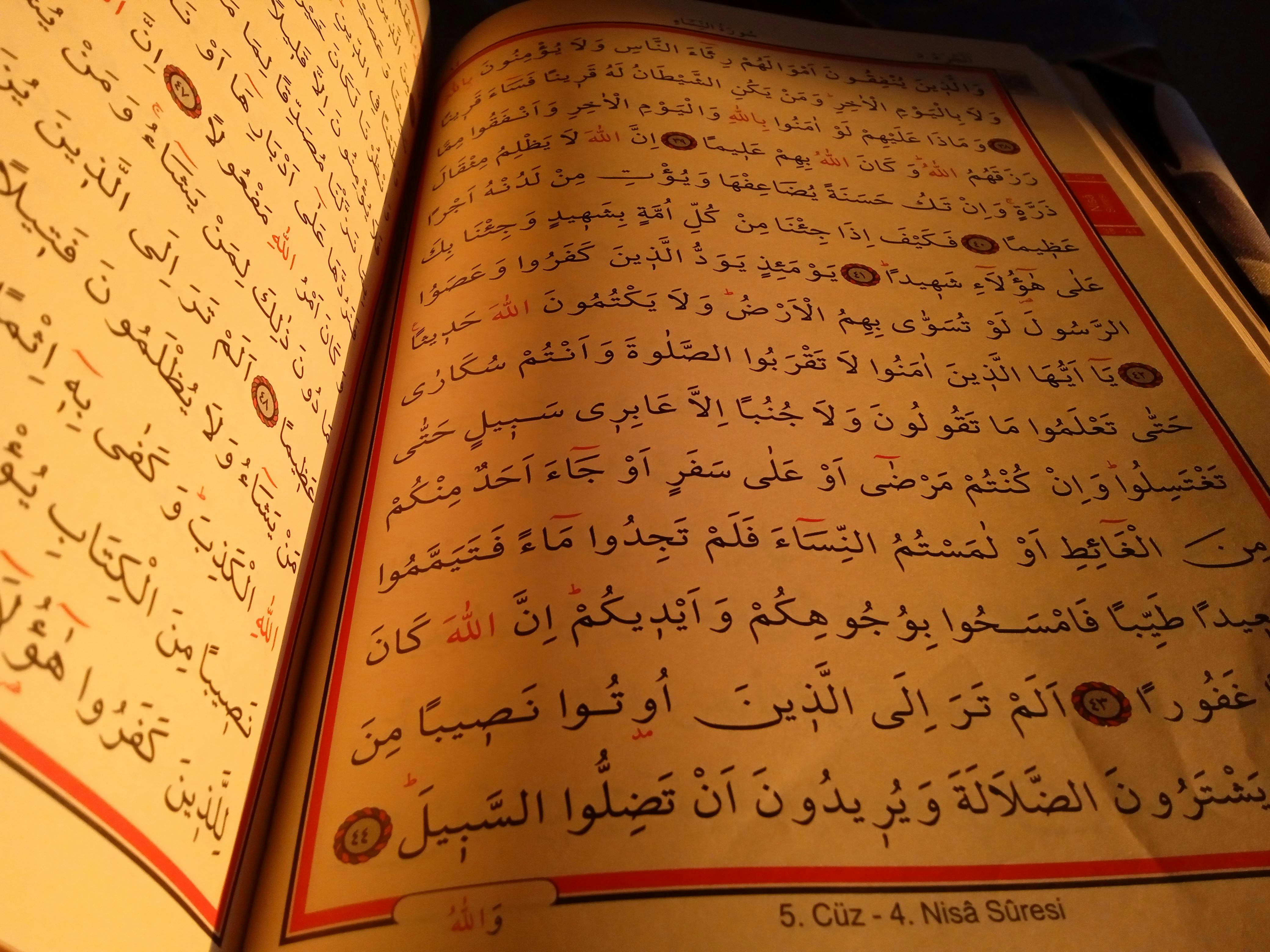 Photo by vesselam.610 - https://www.pexels.com/@vesselam-610-186118178